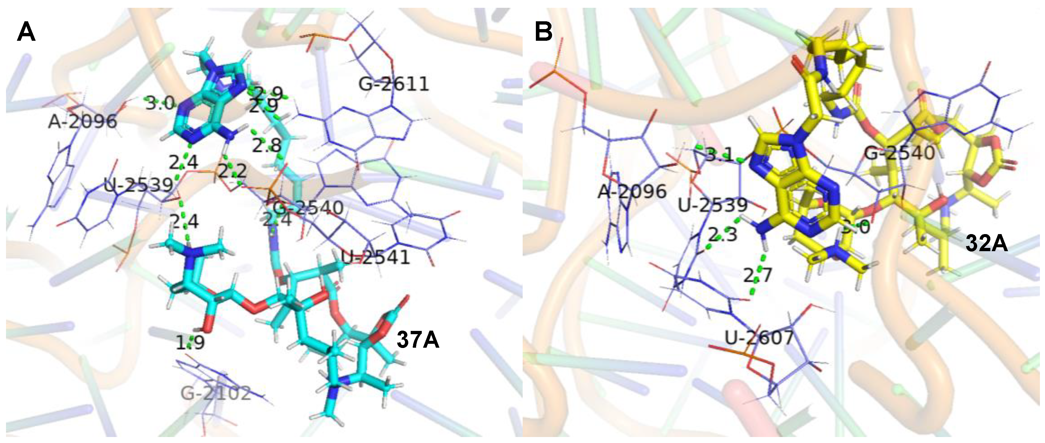 Molecules 28 01327 g002 Molecules 28 01327 g002
