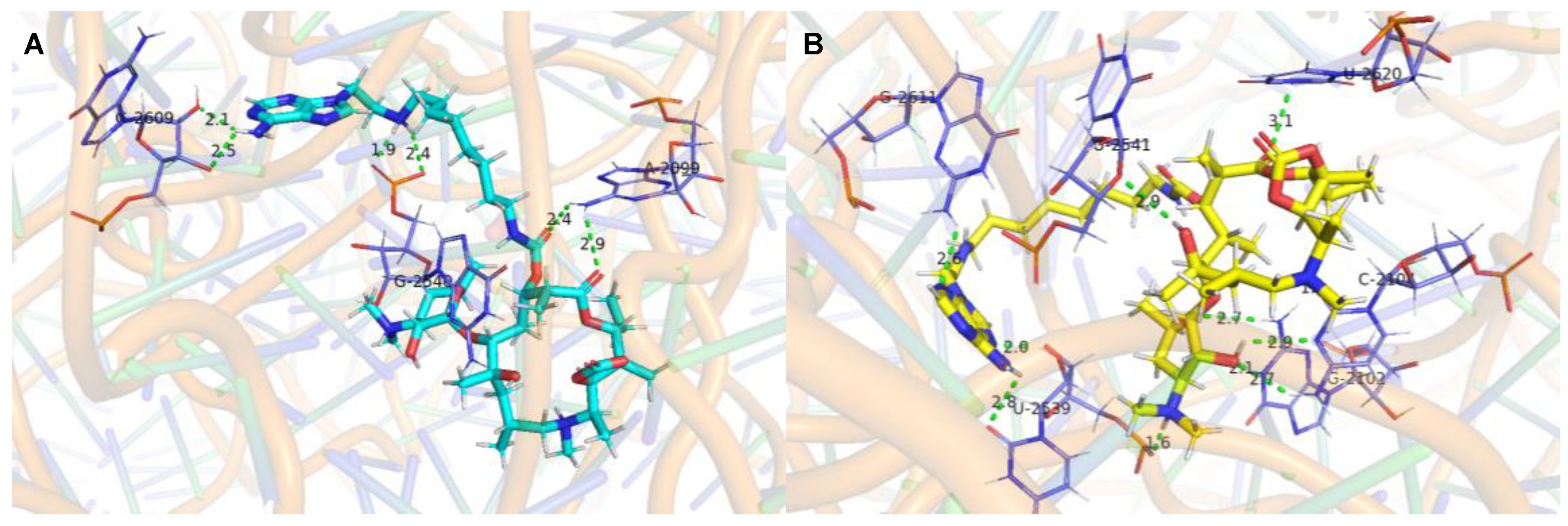 Molecules 28 01327 g003 Molecules 28 01327 g003