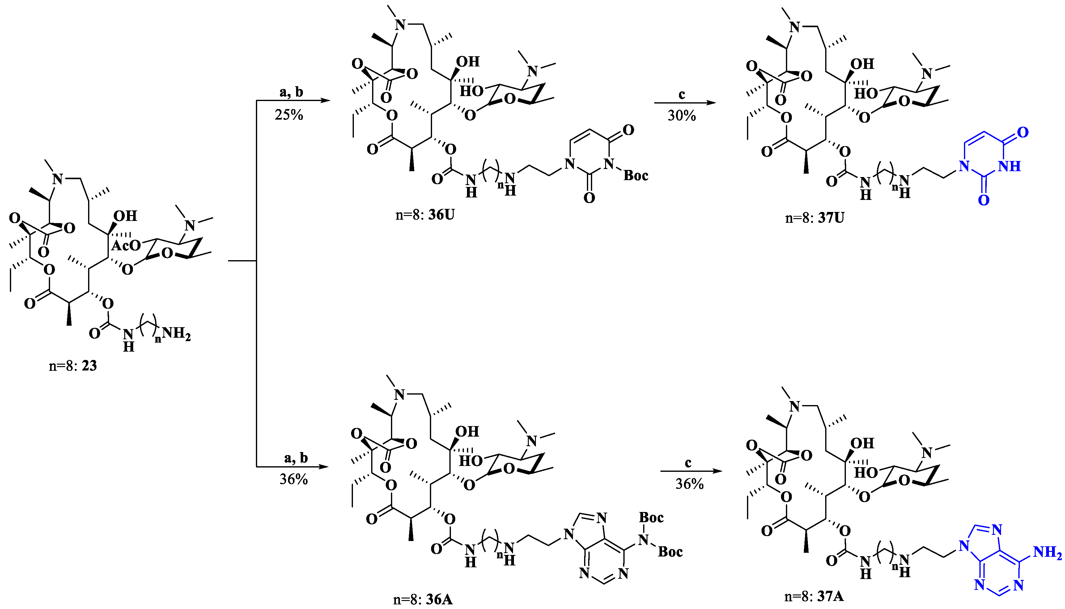 Molecules 28 01327 sch006 Molecules 28 01327 sch006