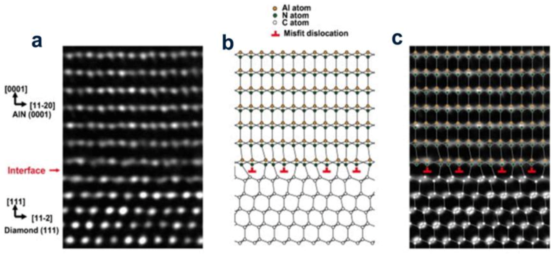Molecules 28 01334 g003