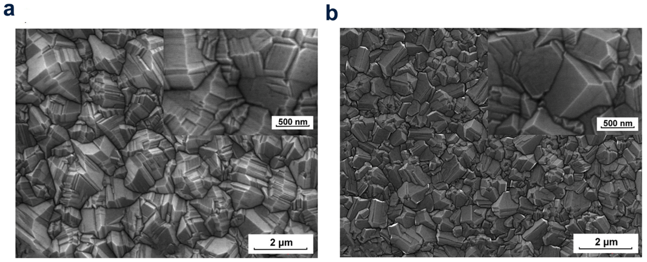 Molecules 28 01334 g008