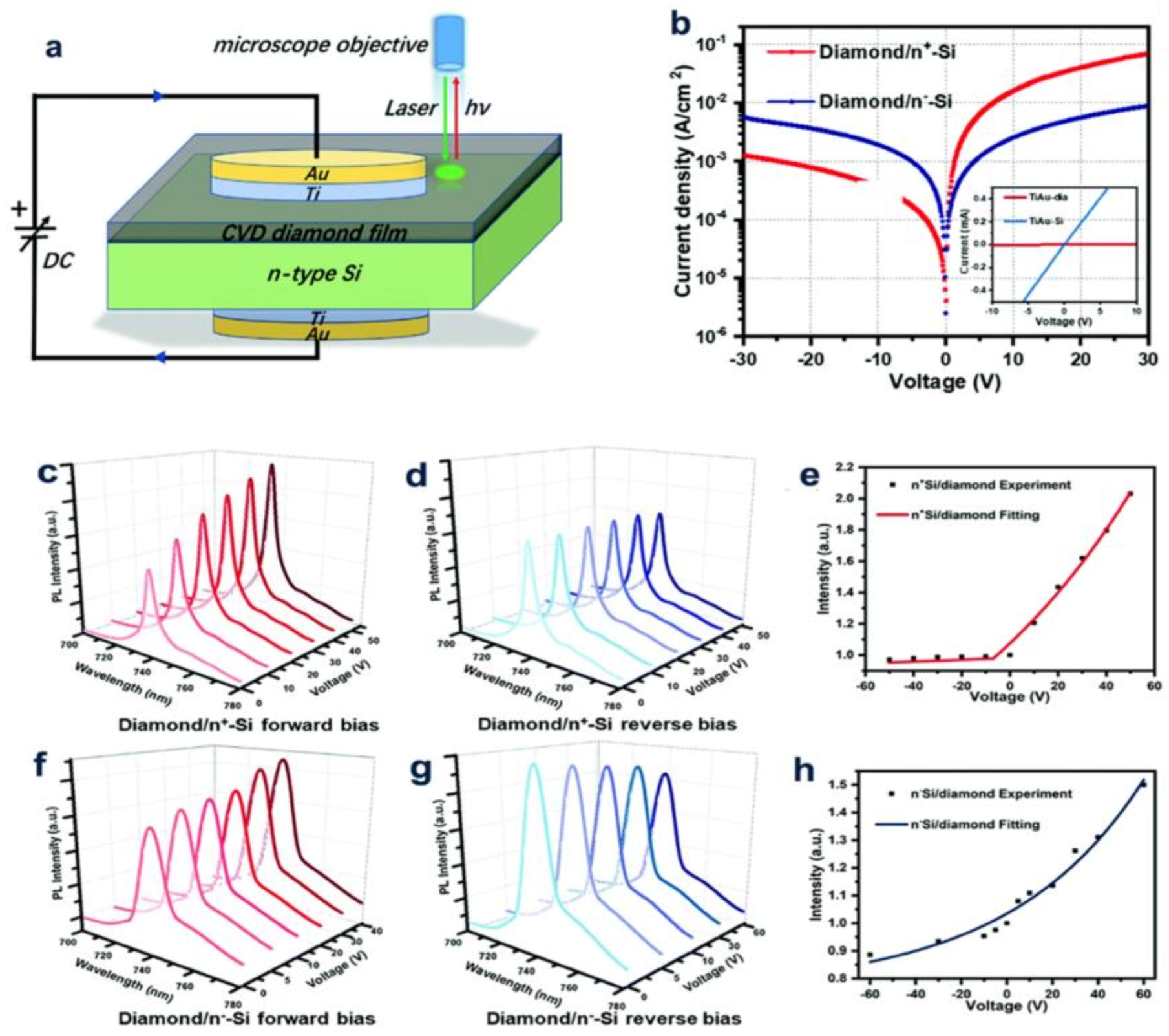 Molecules 28 01334 g011