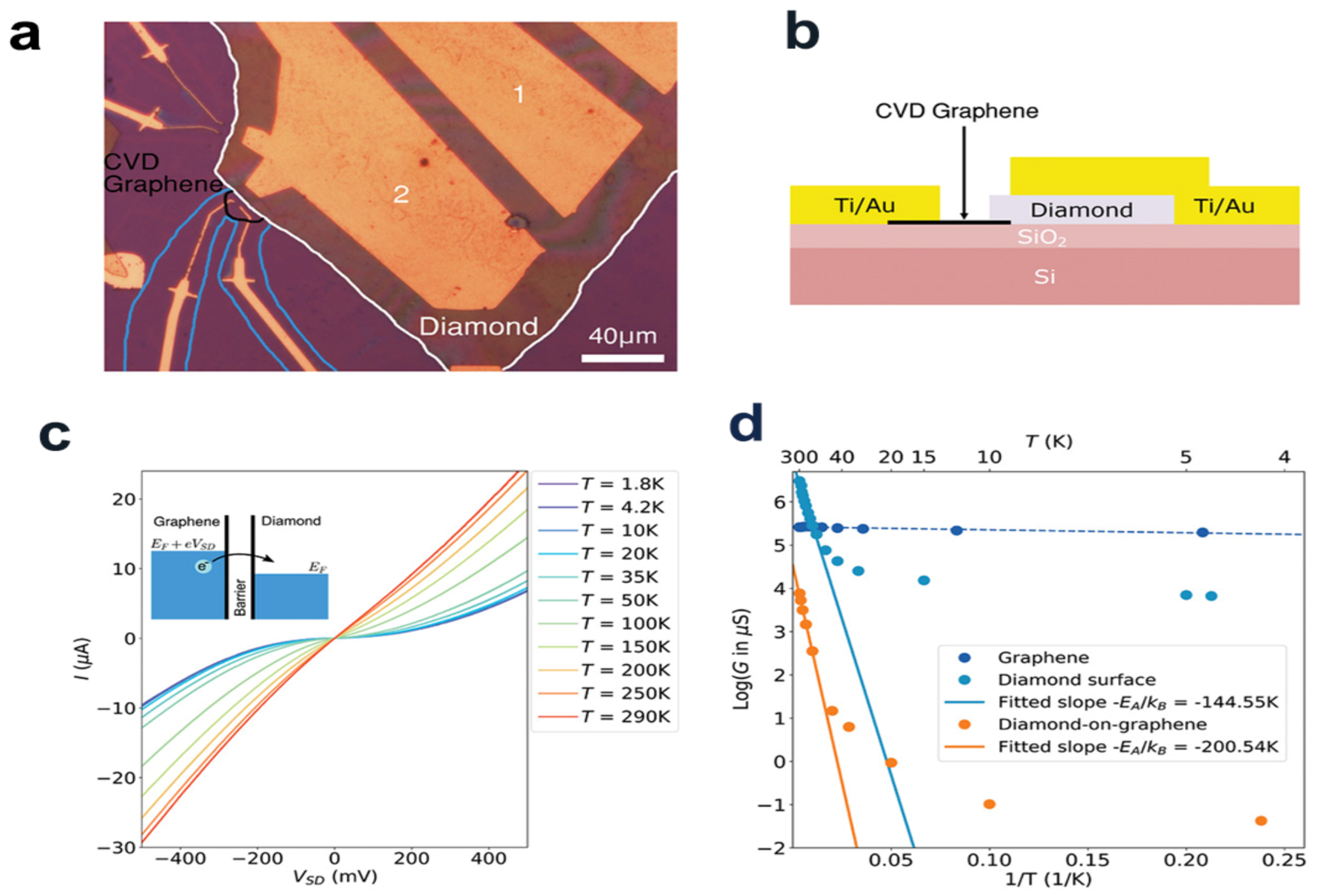 Molecules 28 01334 g012