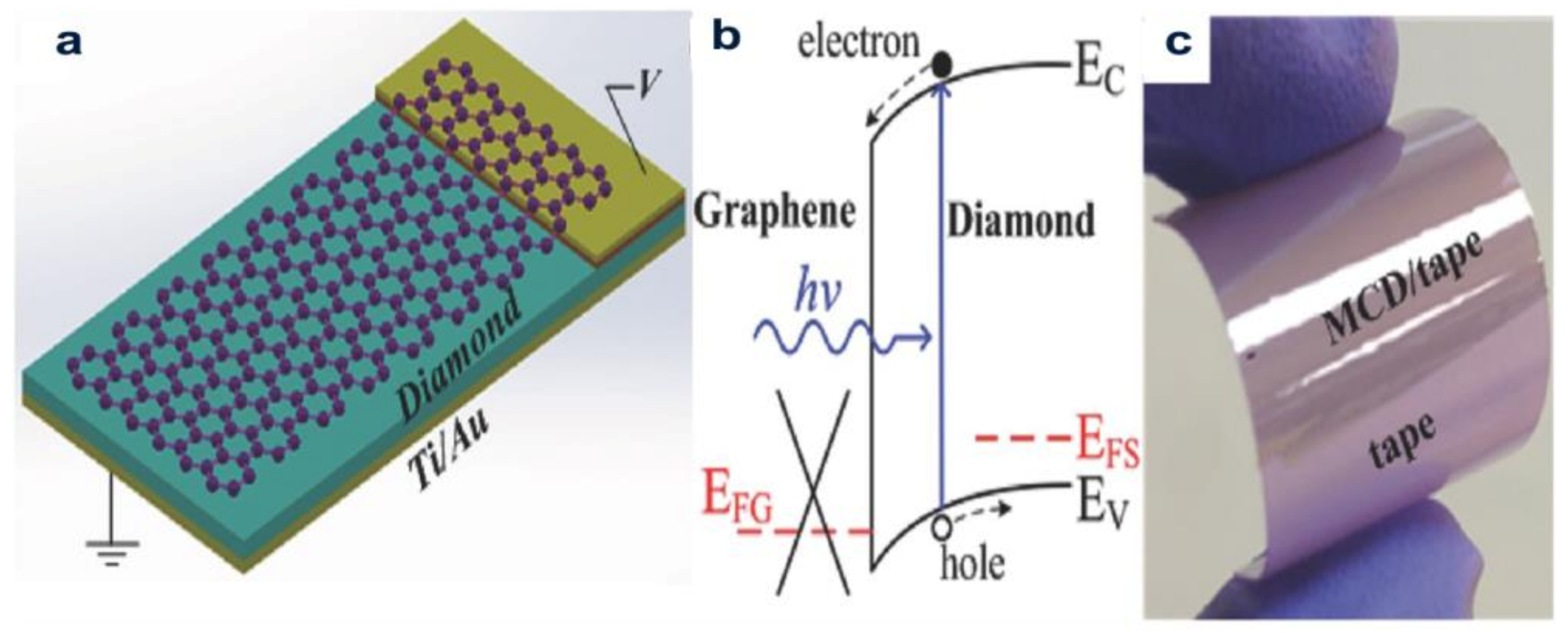 Molecules 28 01334 g013
