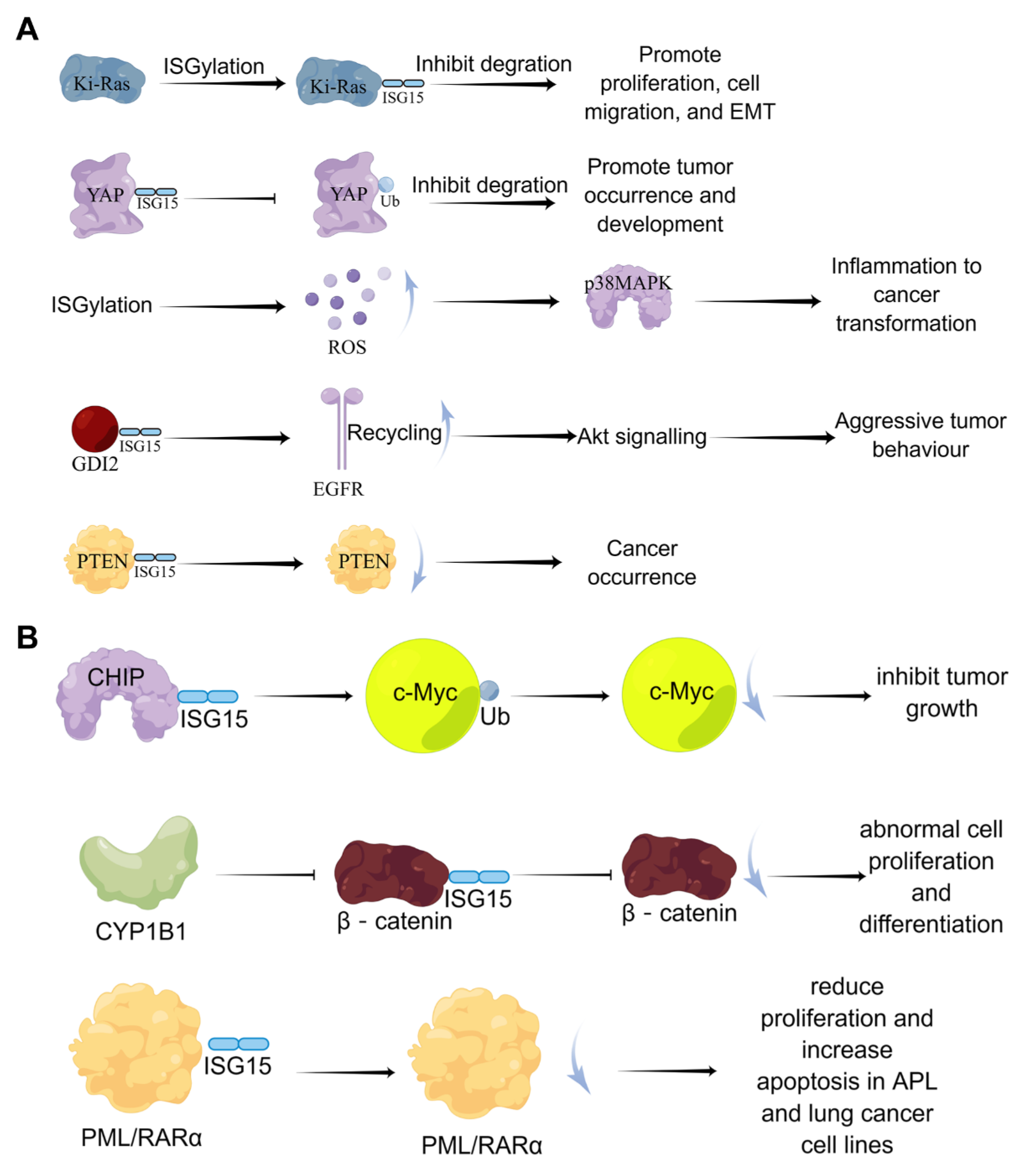 Molecules 28 01337 g005 Molecules 28 01337 g005