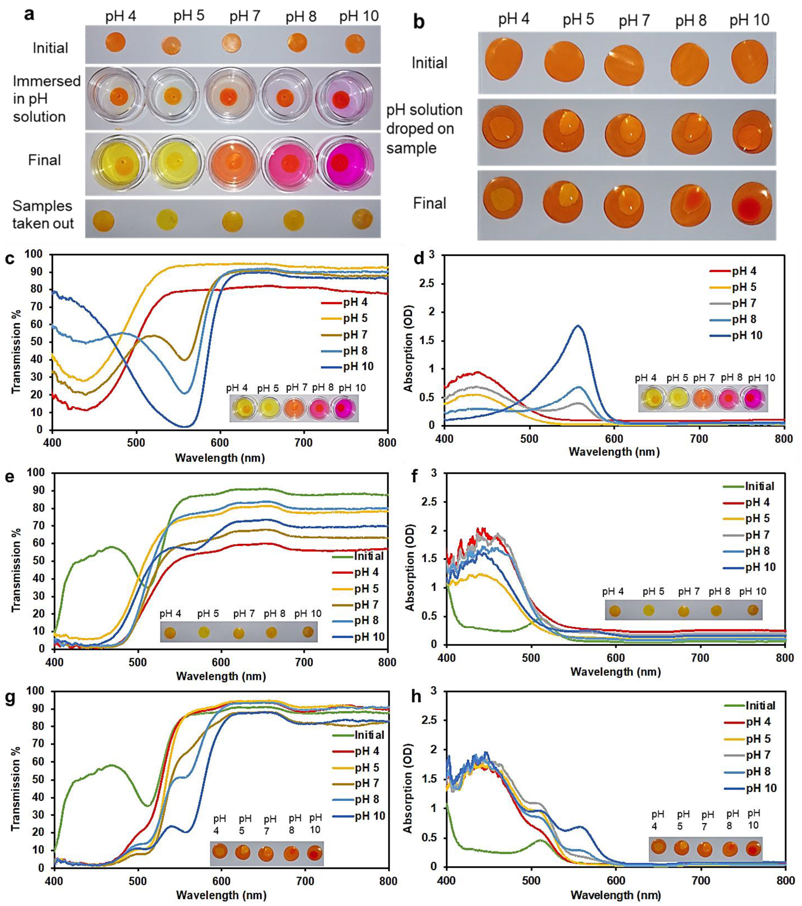 Molecules 28 01339 g003