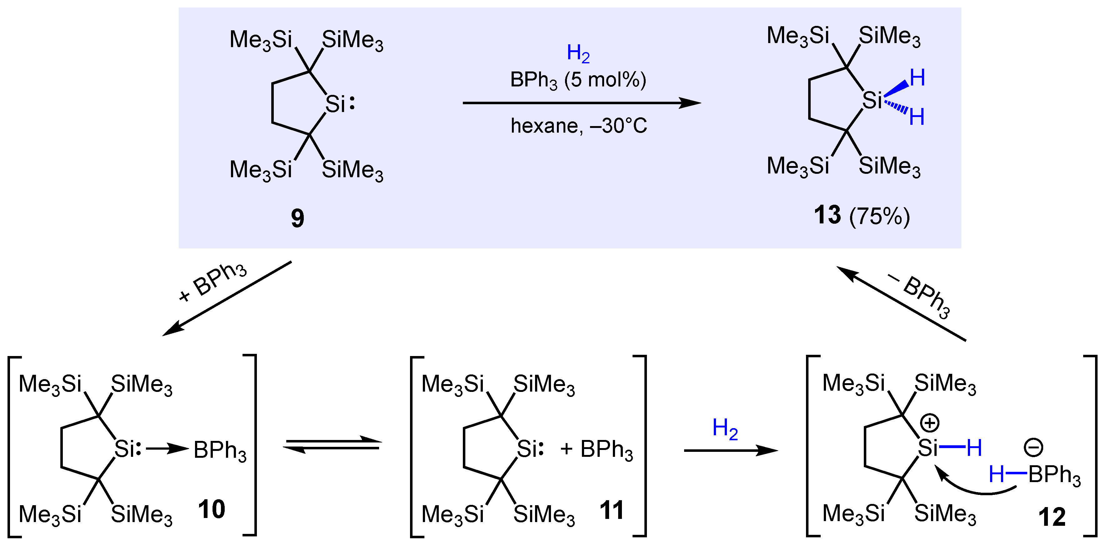 Molecules 28 01340 sch010