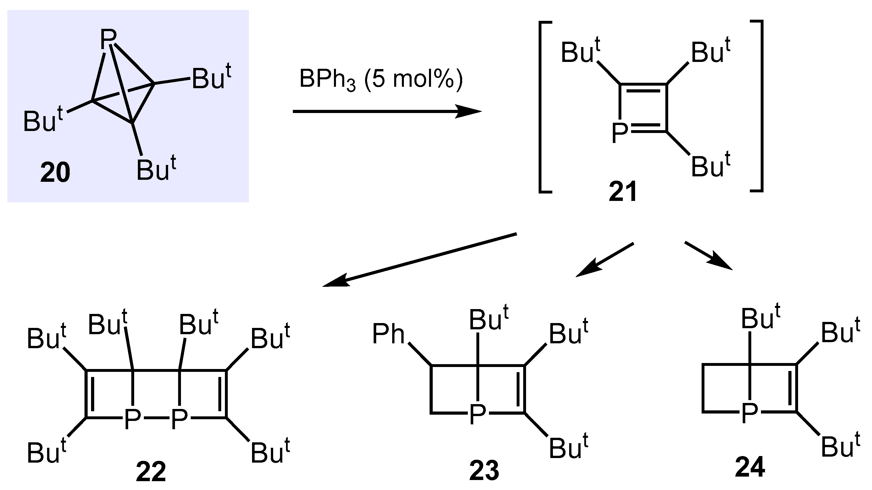 Molecules 28 01340 sch017
