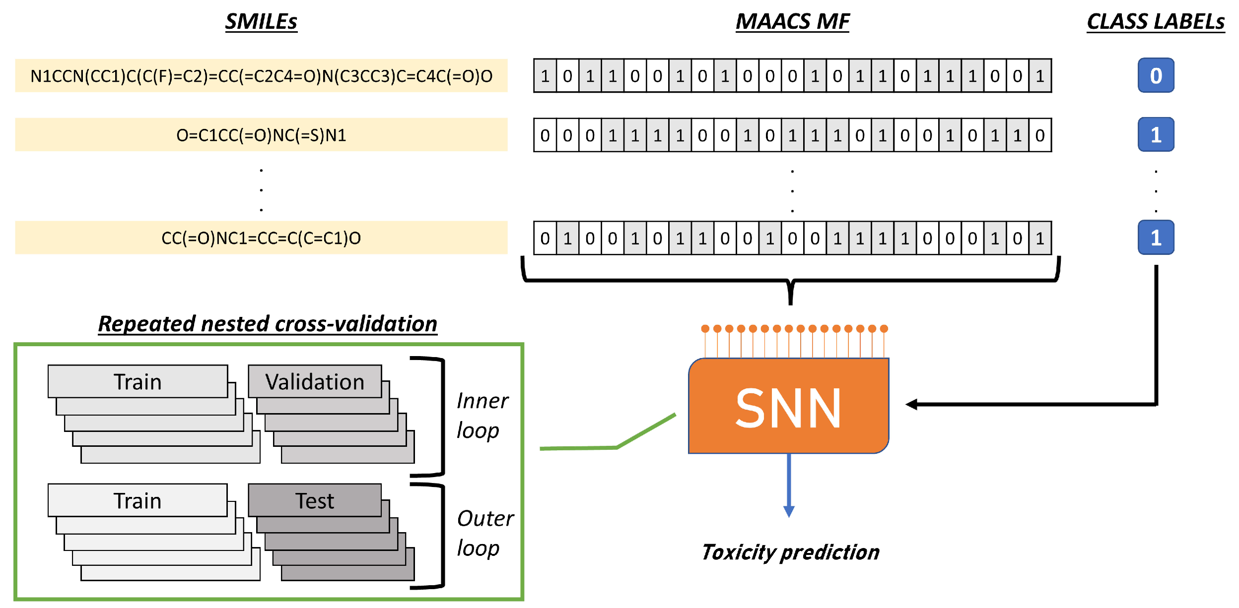 Molecules 28 01342 g004
