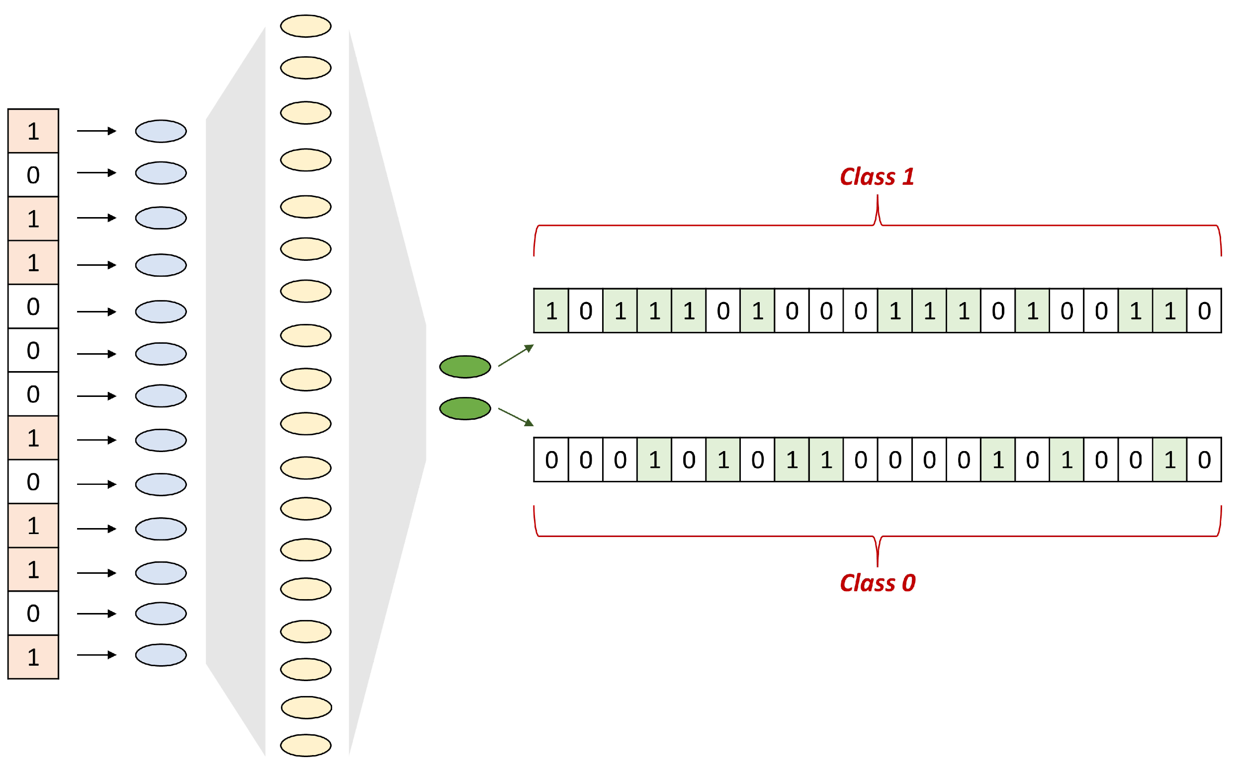 Molecules 28 01342 g007