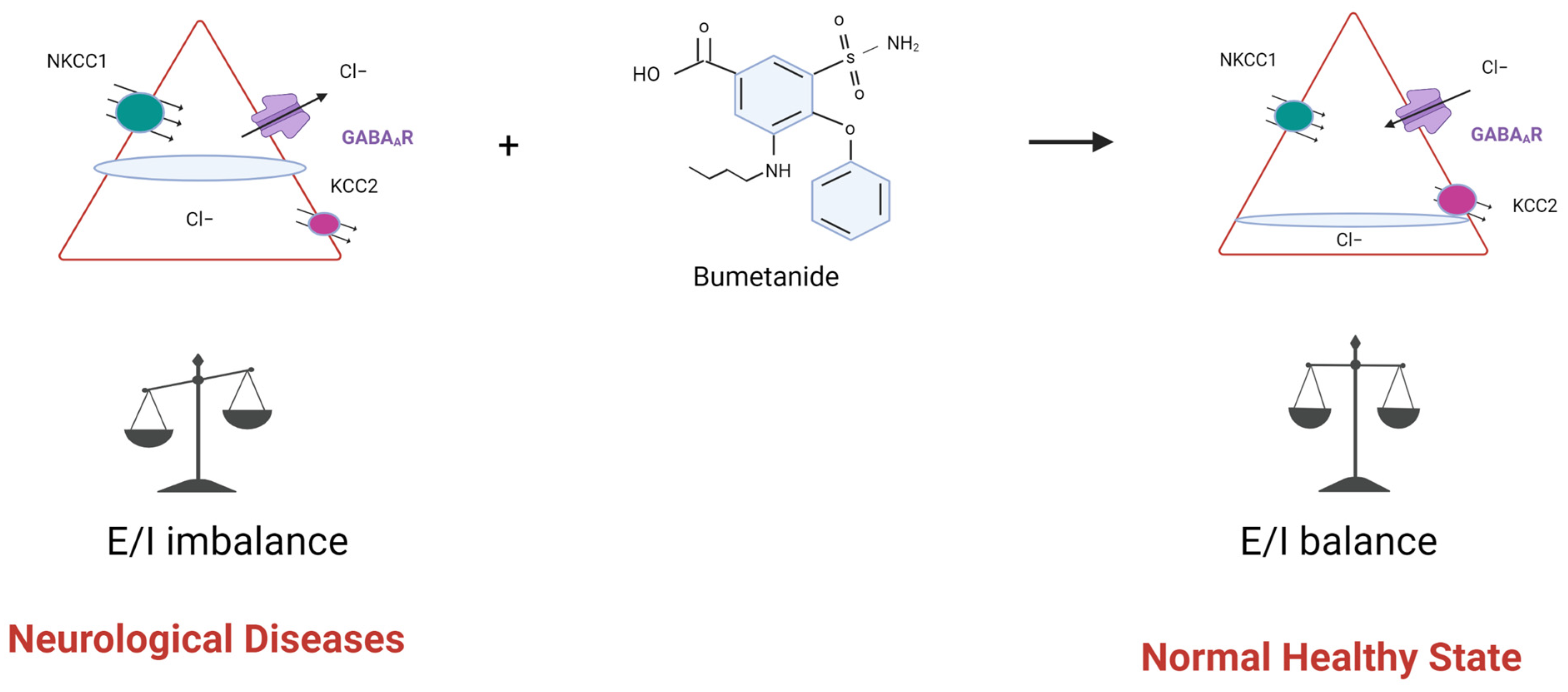 Molecules 28 01344 g001