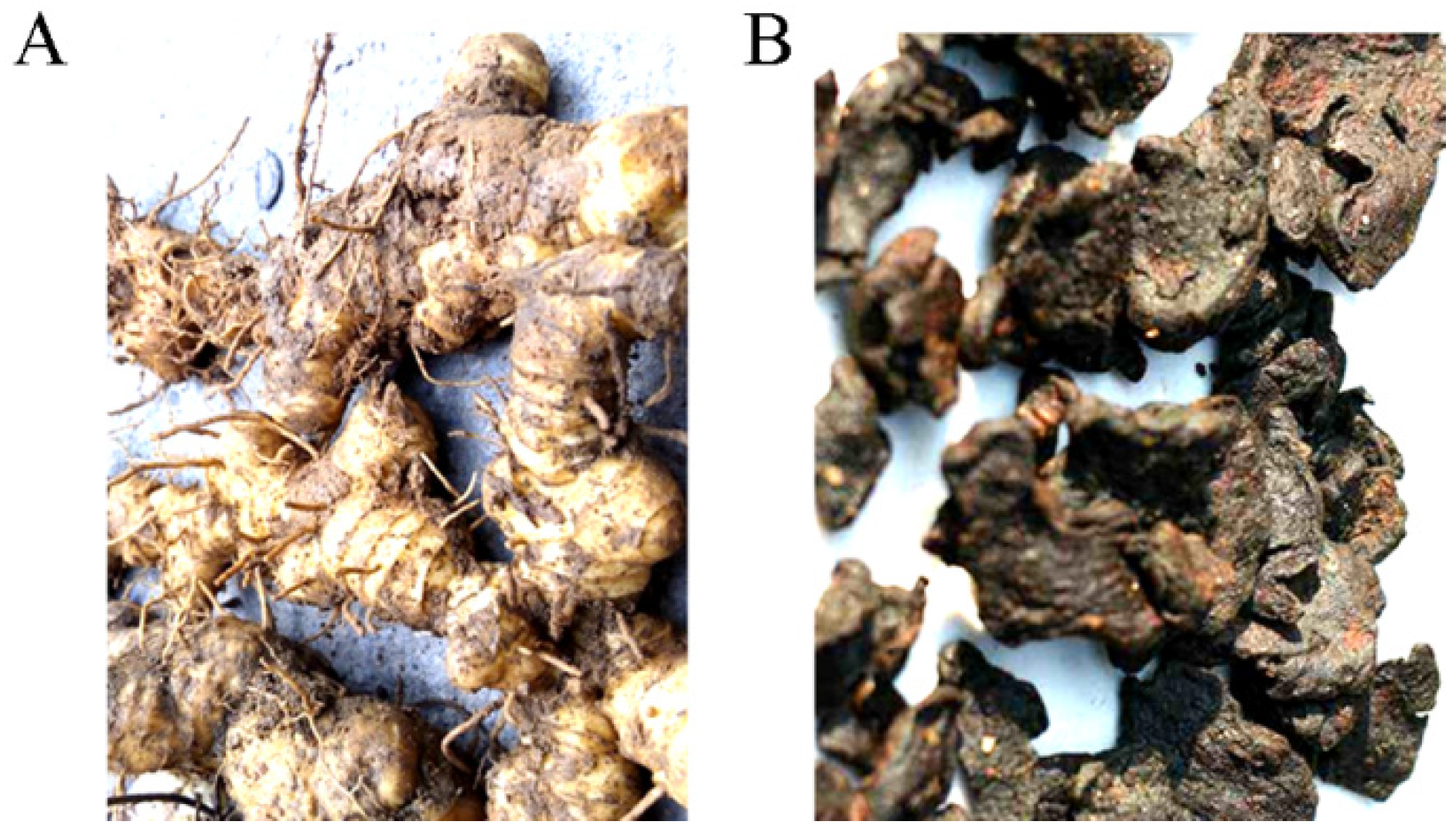 Molecules 28 01350 g001