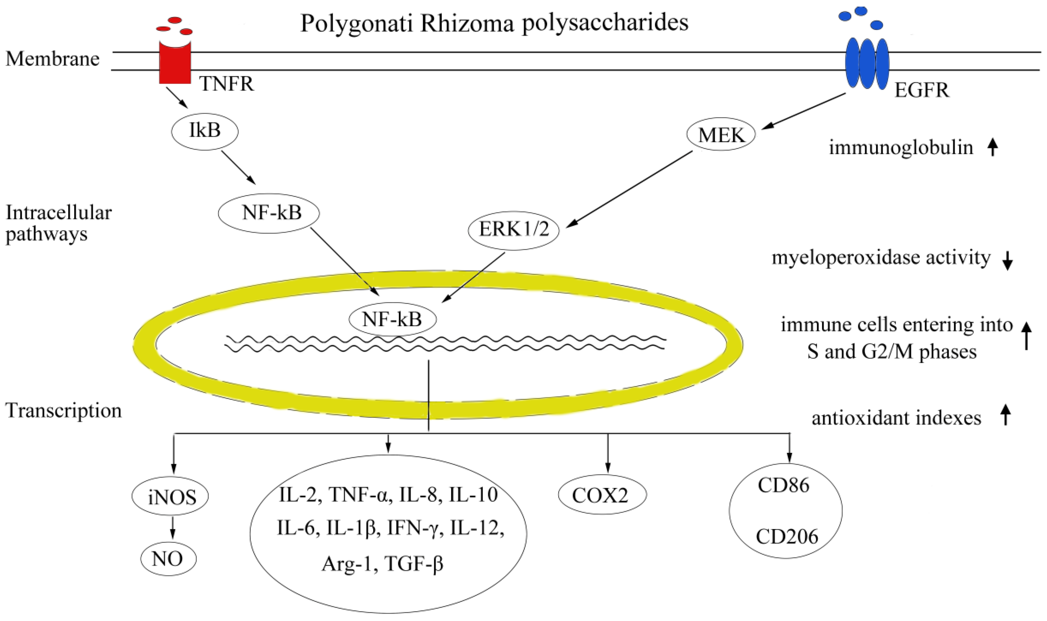 Molecules 28 01350 g002