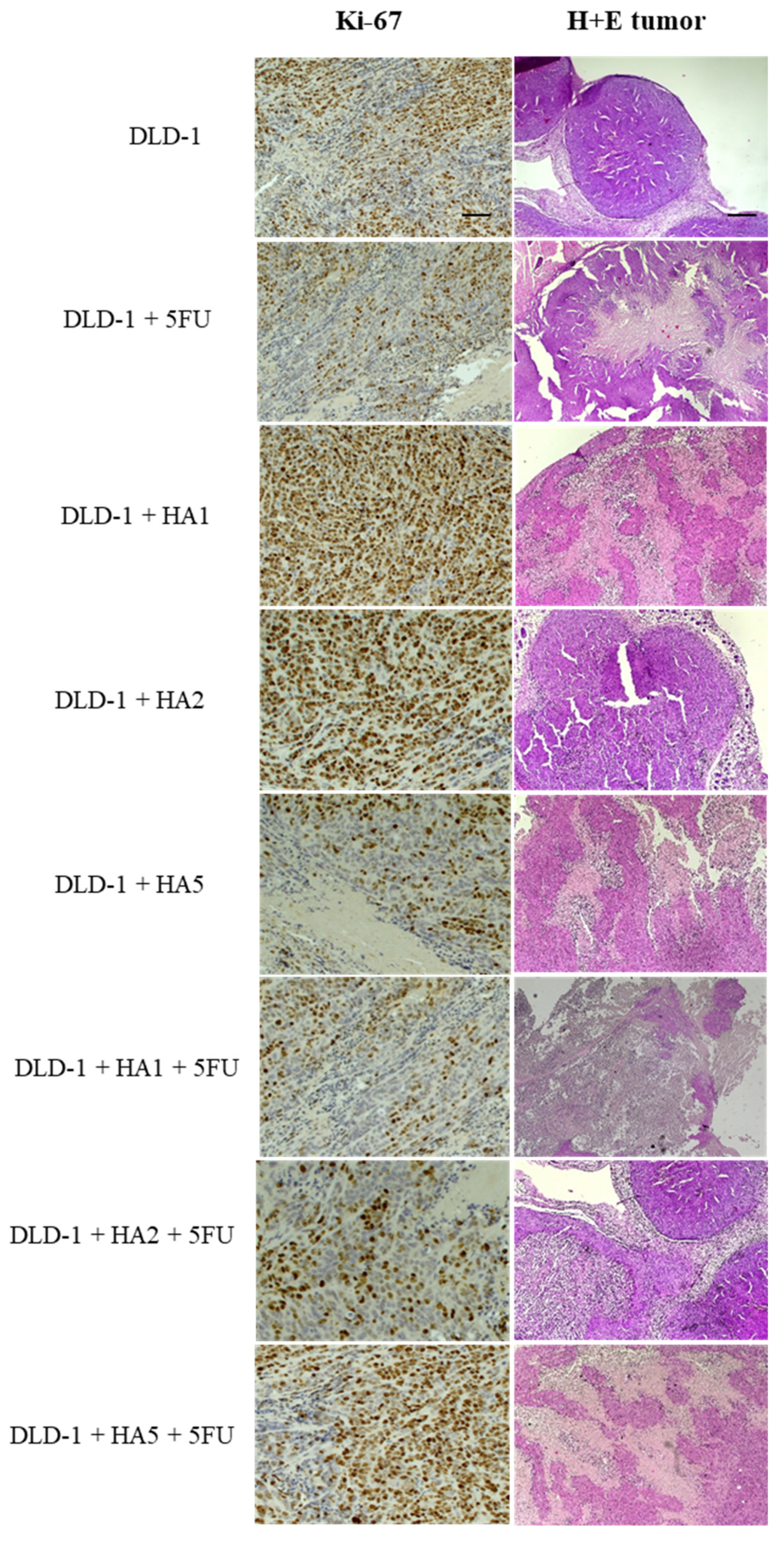 Molecules 28 01352 g003