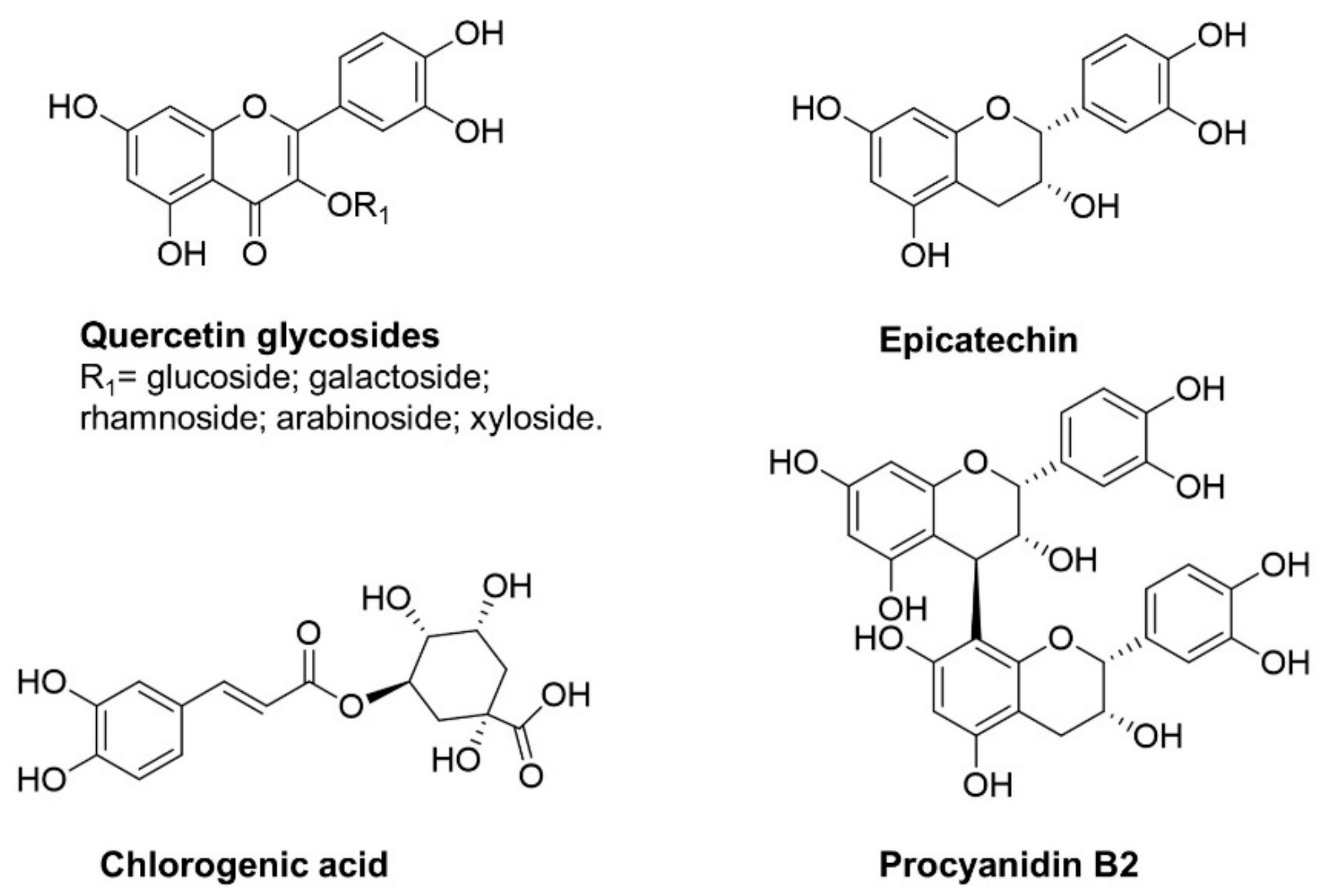 Molecules 28 01356 g002