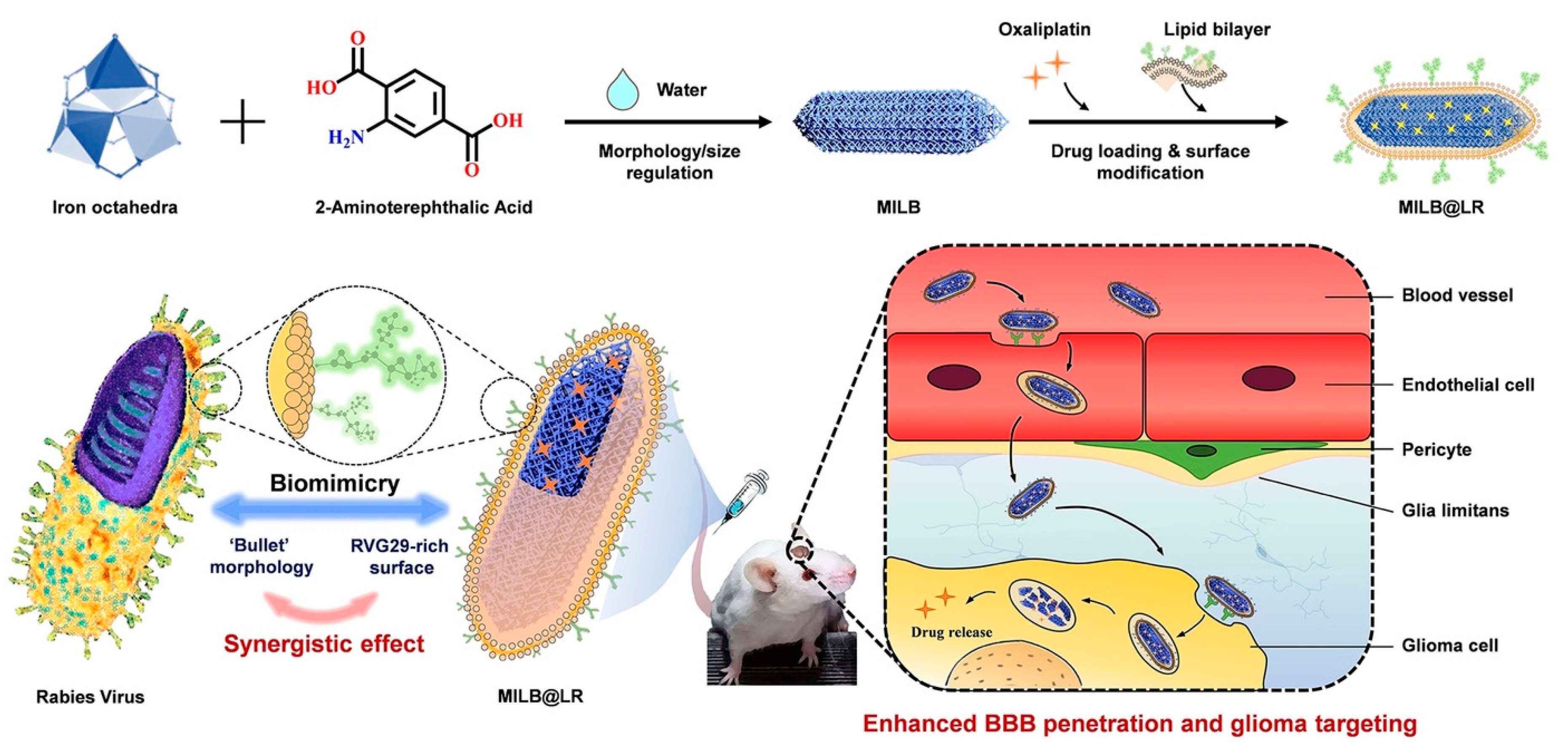 Molecules 28 01360 g002 Molecules 28 01360 g002