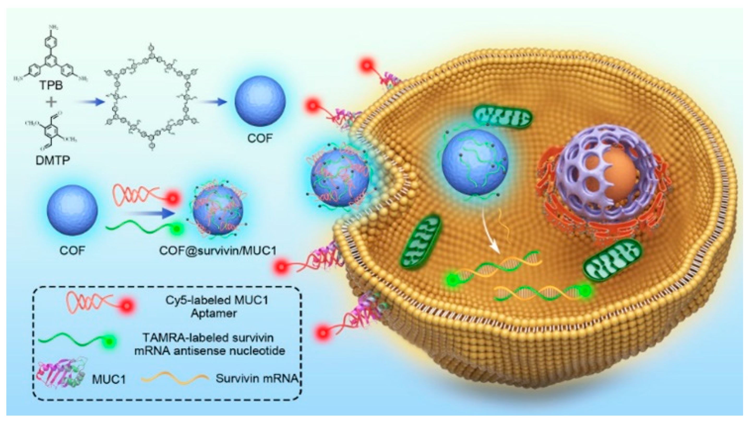 Molecules 28 01360 g004 Molecules 28 01360 g004