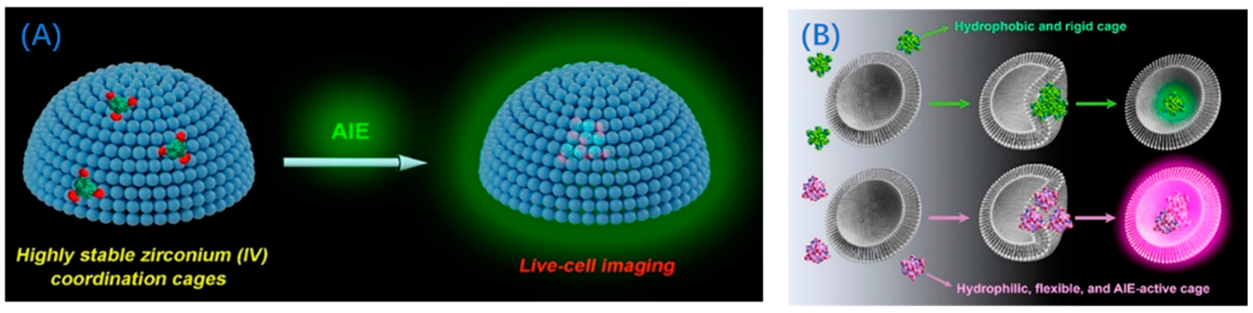 Molecules 28 01360 g005 Molecules 28 01360 g005