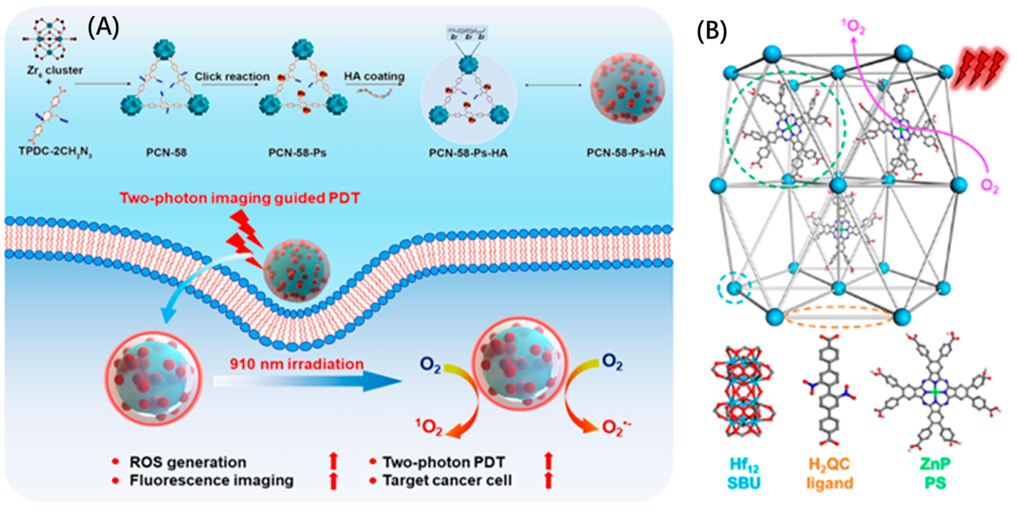 Molecules 28 01360 g006 Molecules 28 01360 g006