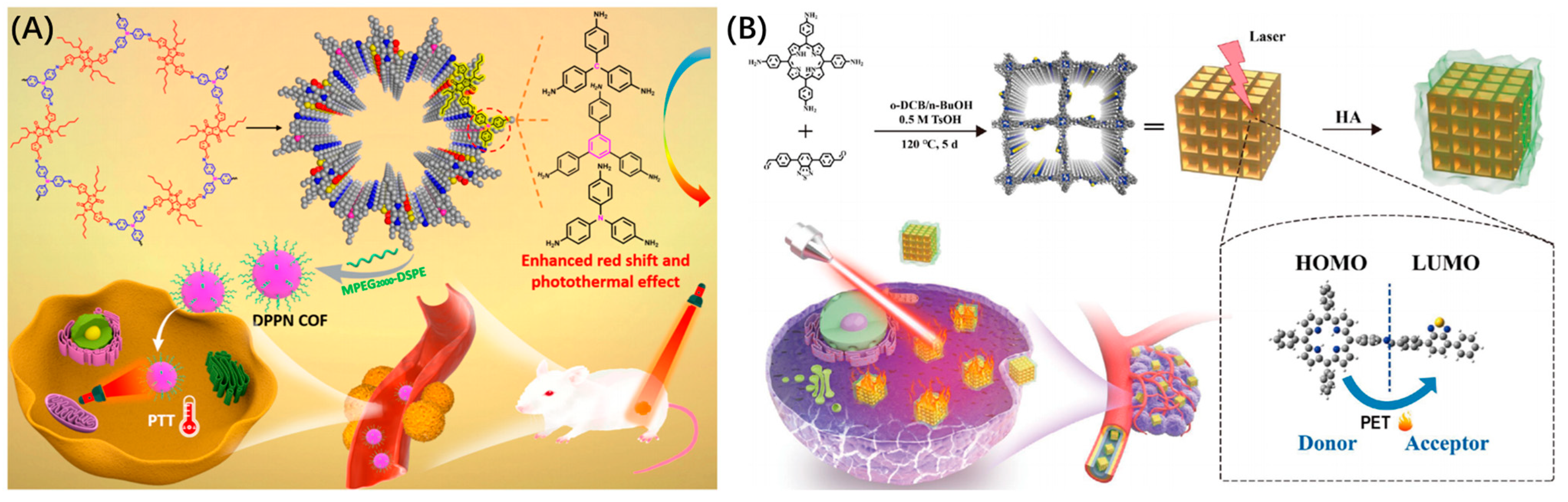 Molecules 28 01360 g008 Molecules 28 01360 g008