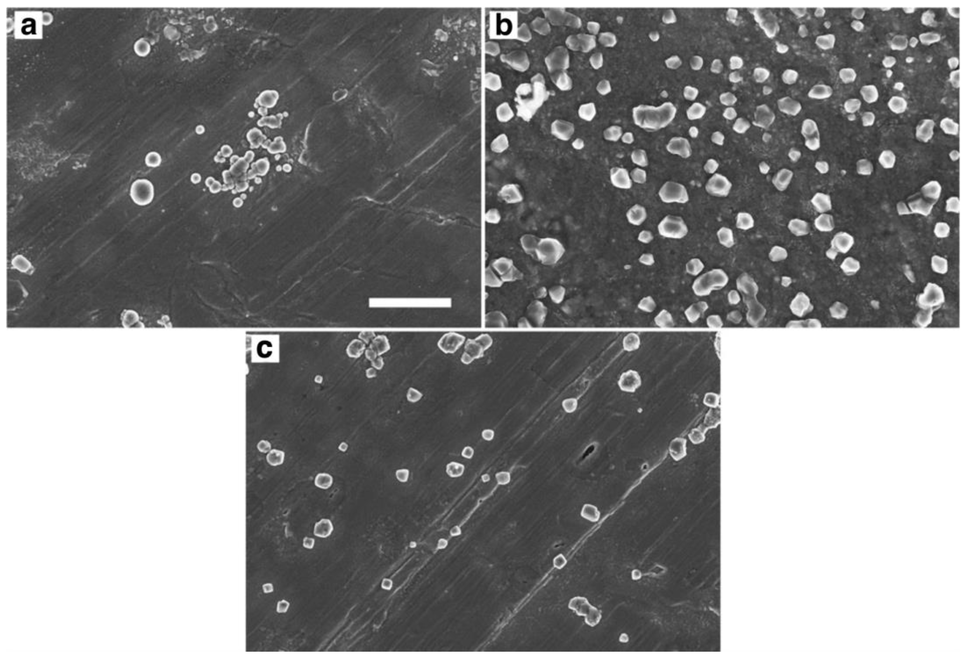 Molecules 28 01361 g002 Molecules 28 01361 g002