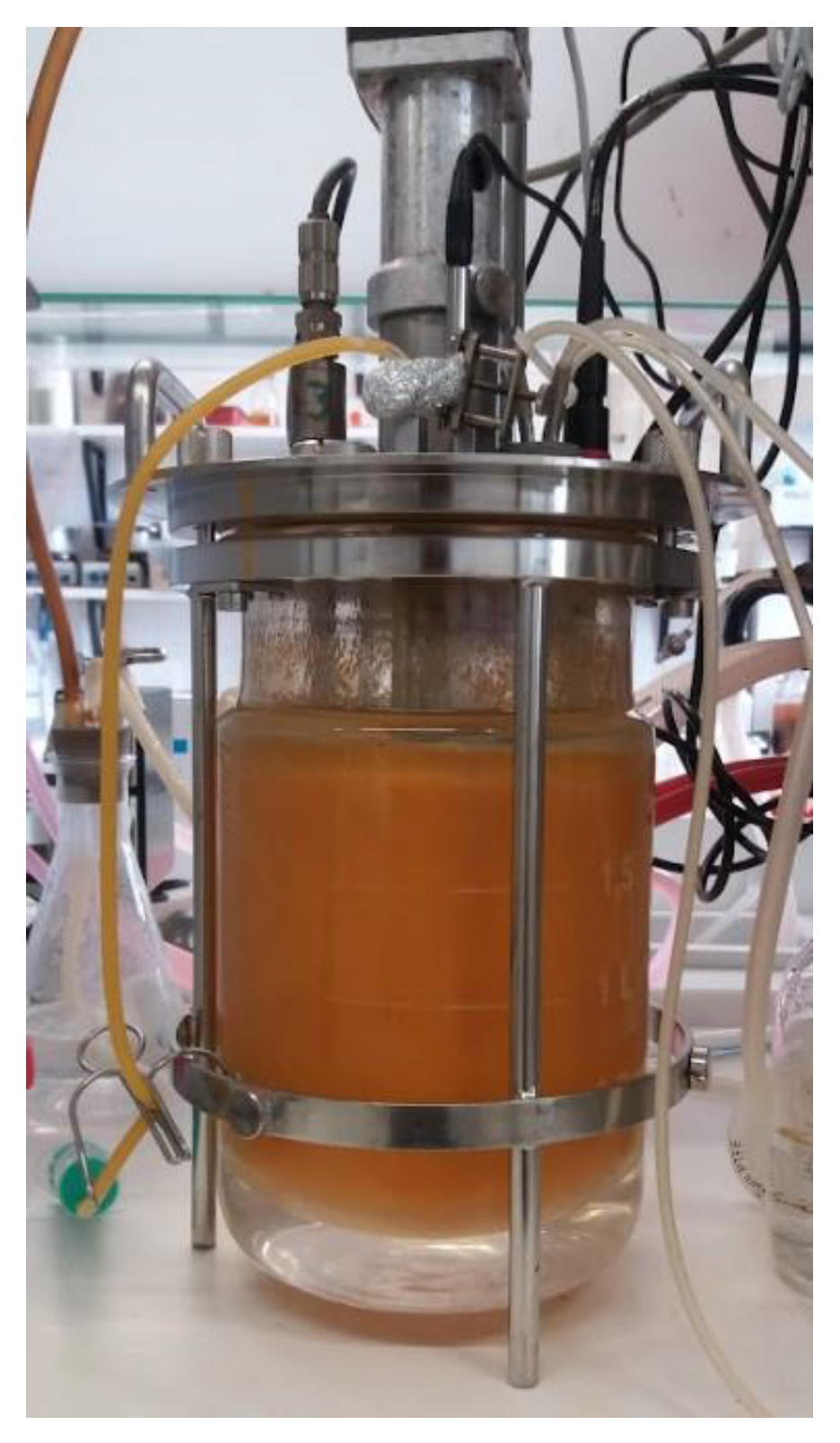 Molecules 28 01368 g002 Molecules 28 01368 g002