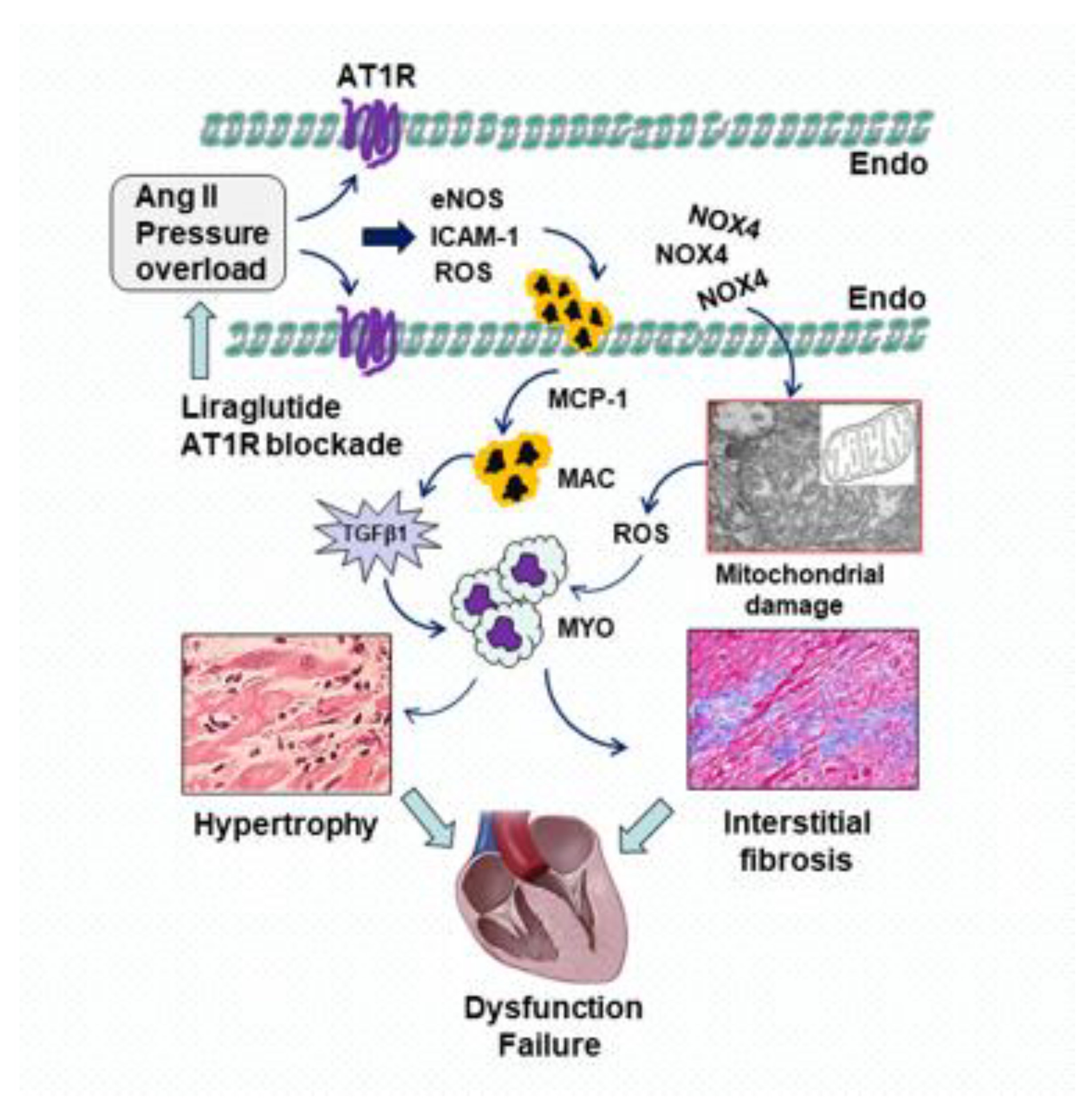 Molecules 28 01369 g004