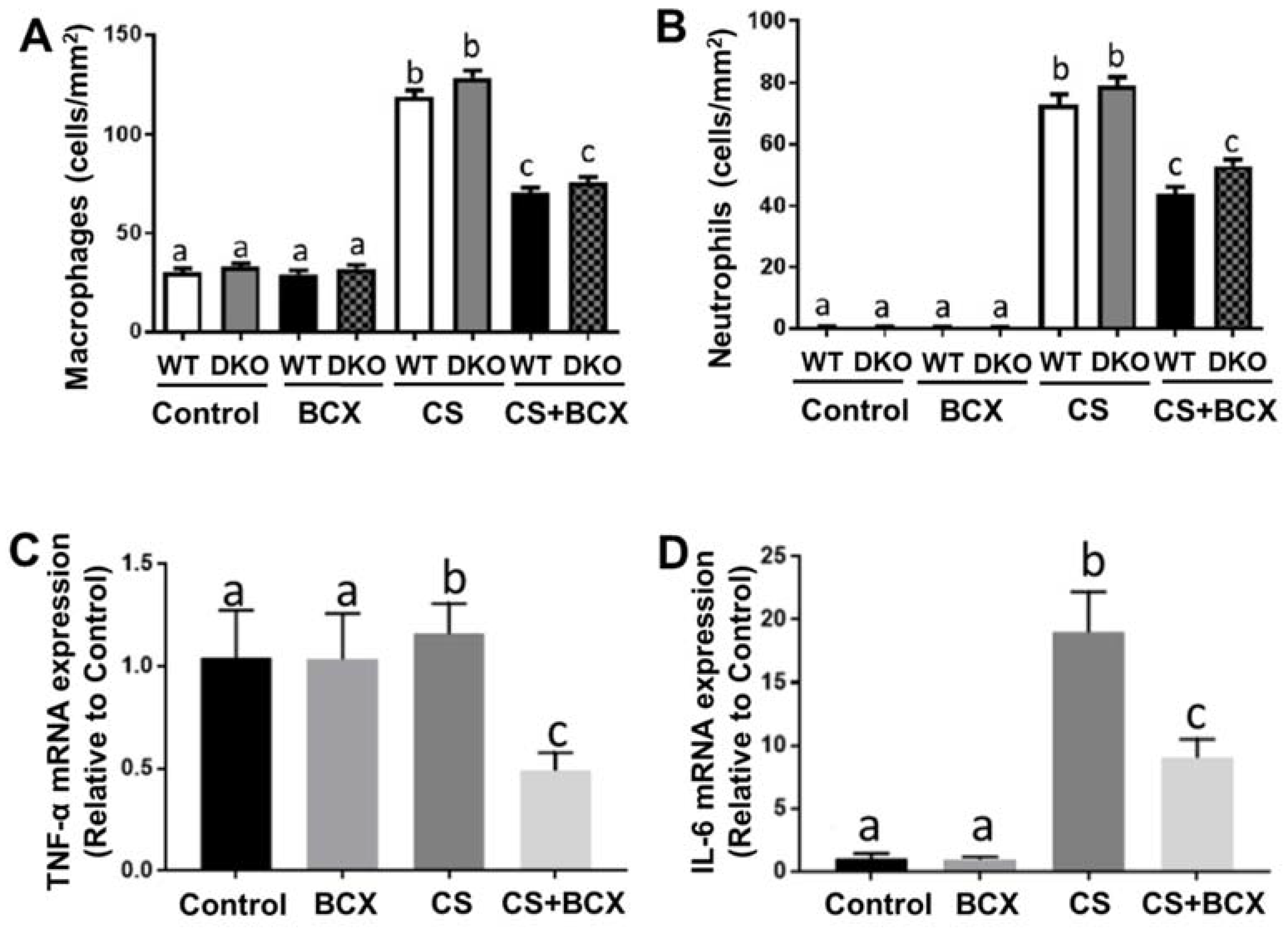 Molecules 28 01383 g003