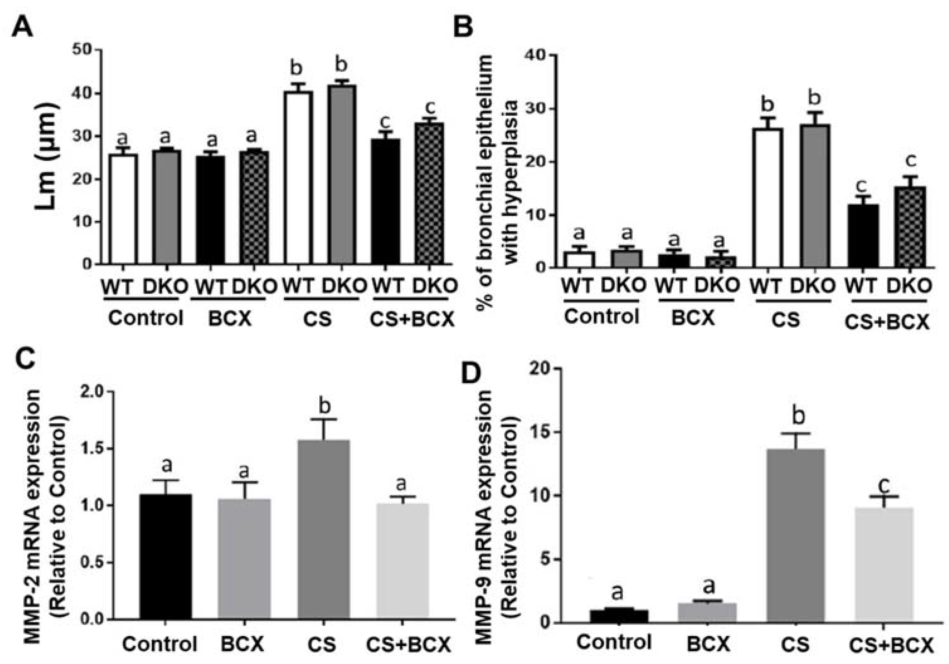 Molecules 28 01383 g004