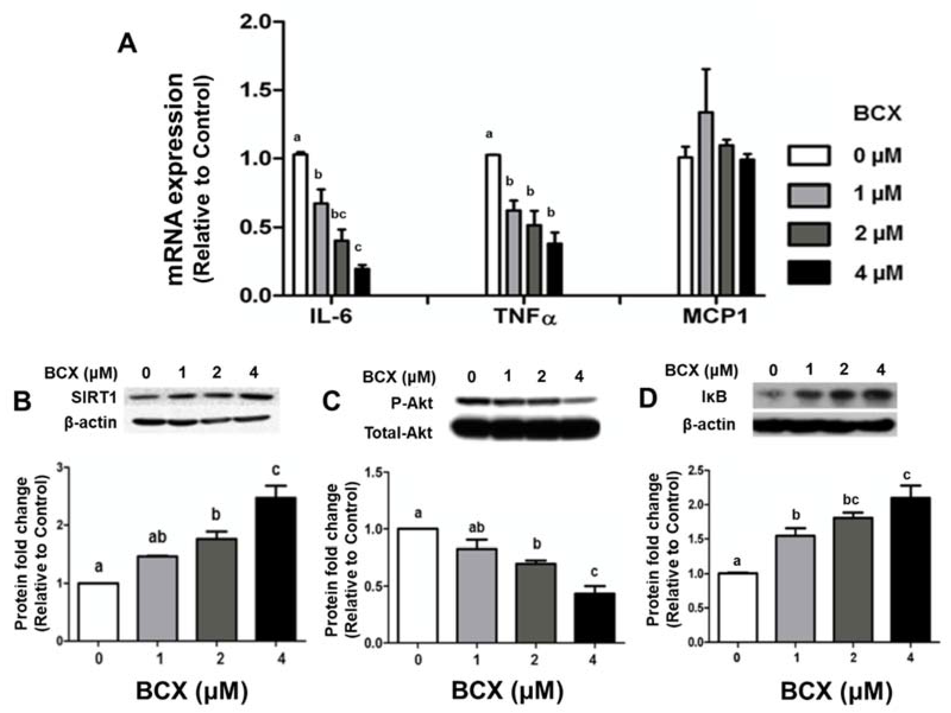 Molecules 28 01383 g005