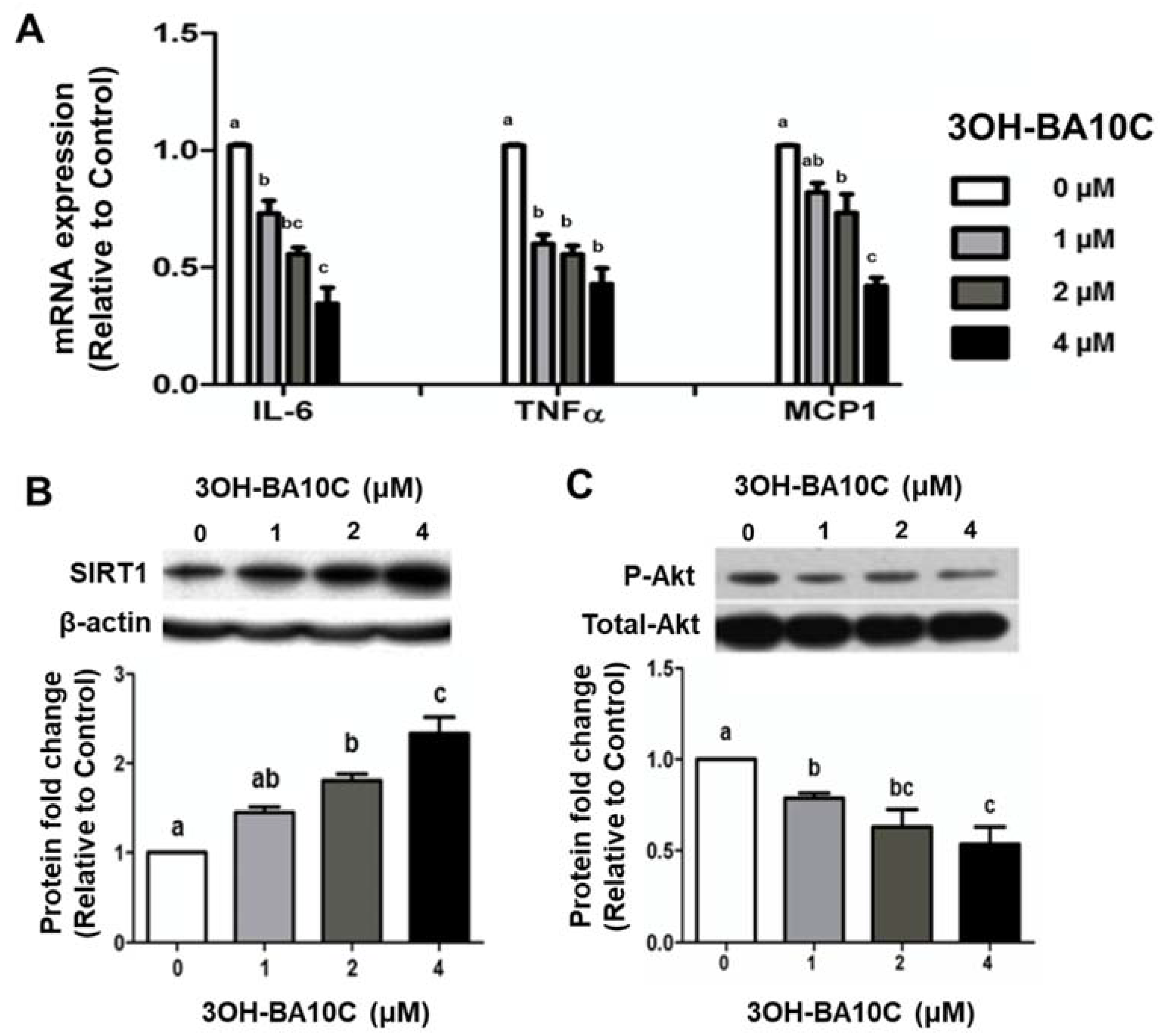 Molecules 28 01383 g006