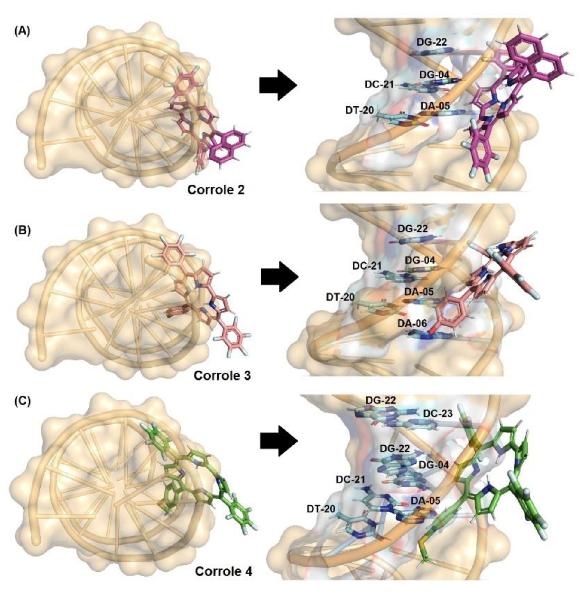 Molecules 28 01385 g008