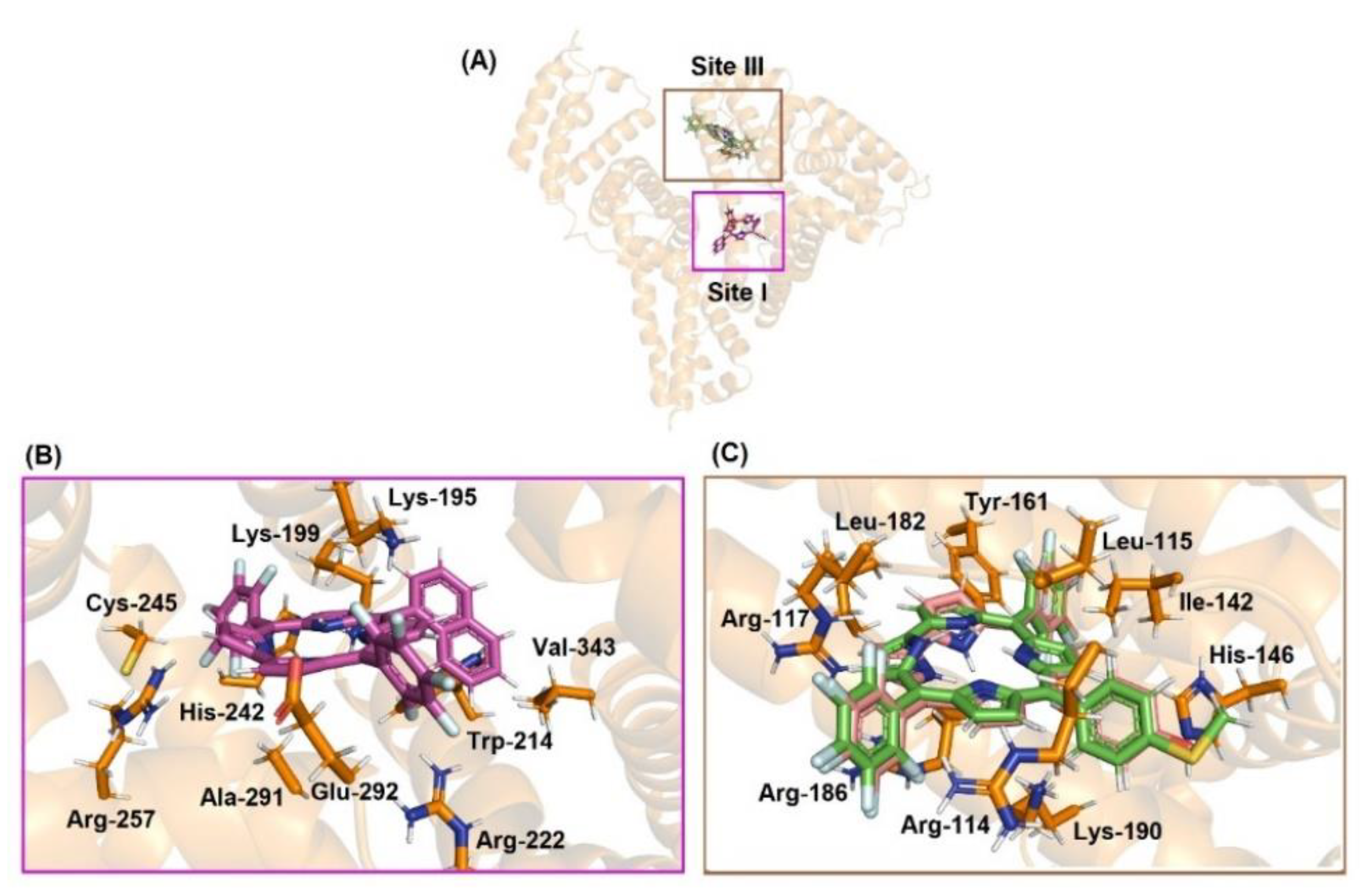 Molecules 28 01385 g009