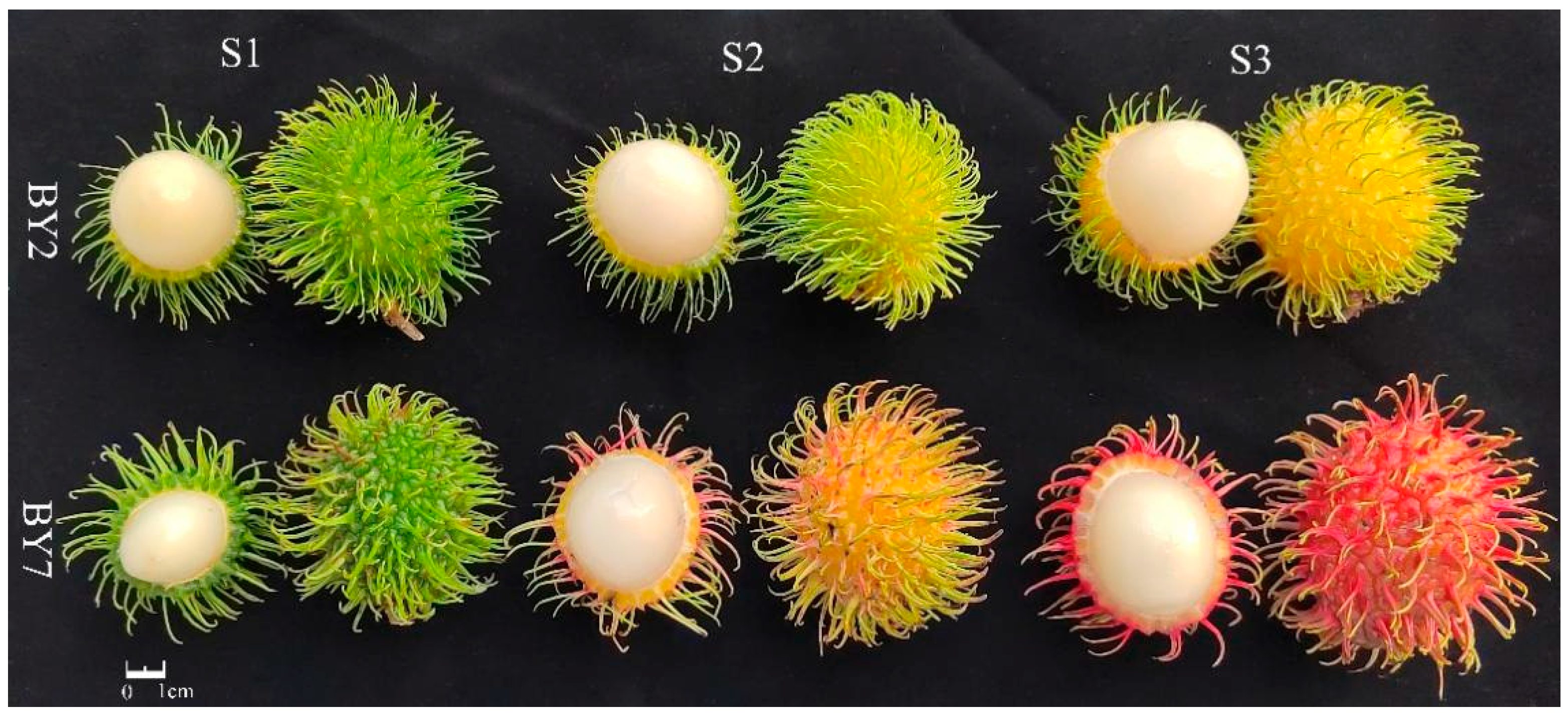 Molecules 28 01390 g006