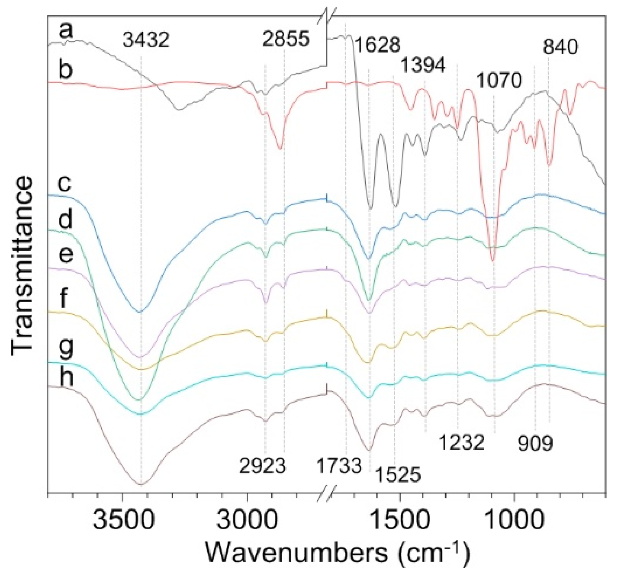 Molecules 28 01391 g001