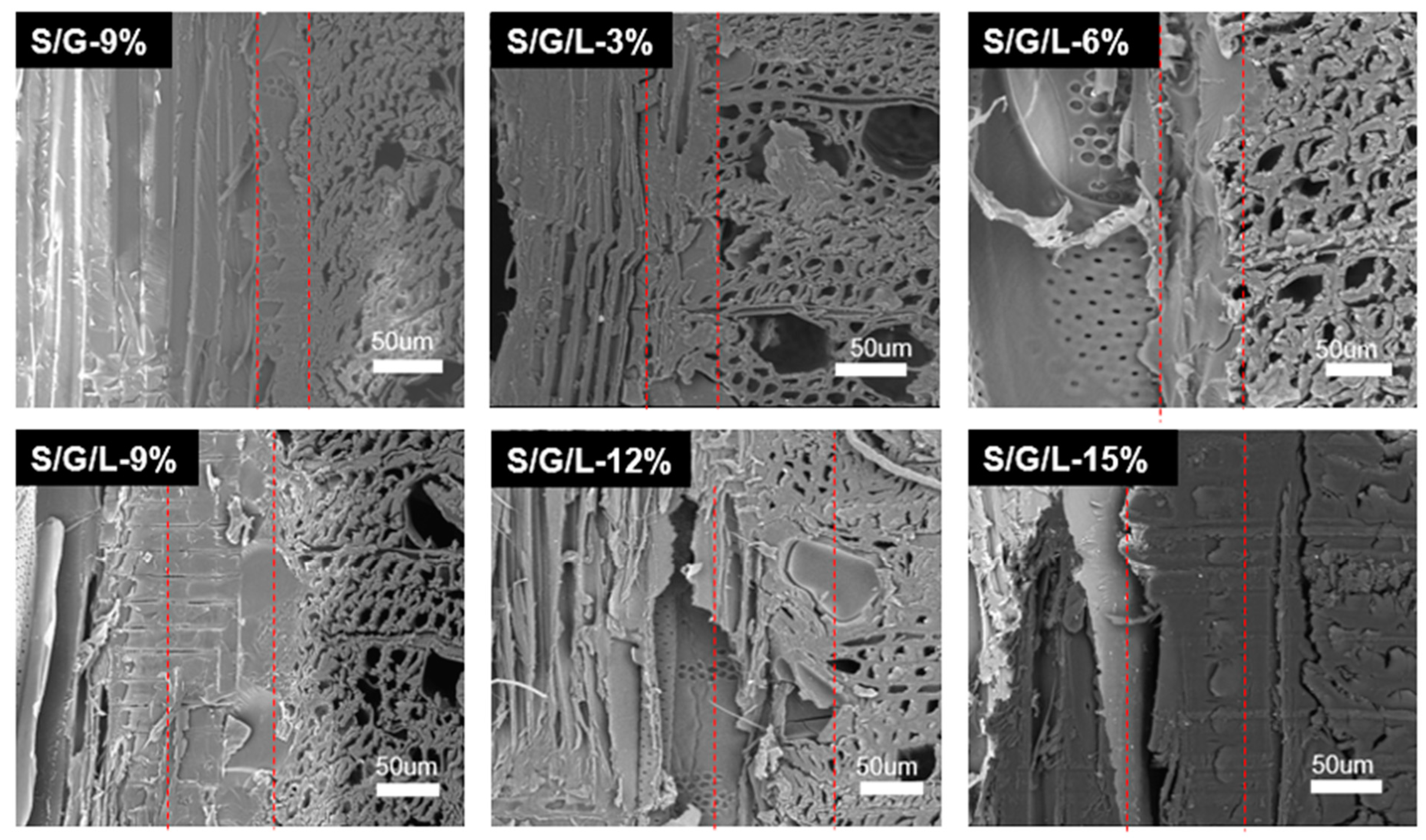 Molecules 28 01391 g005