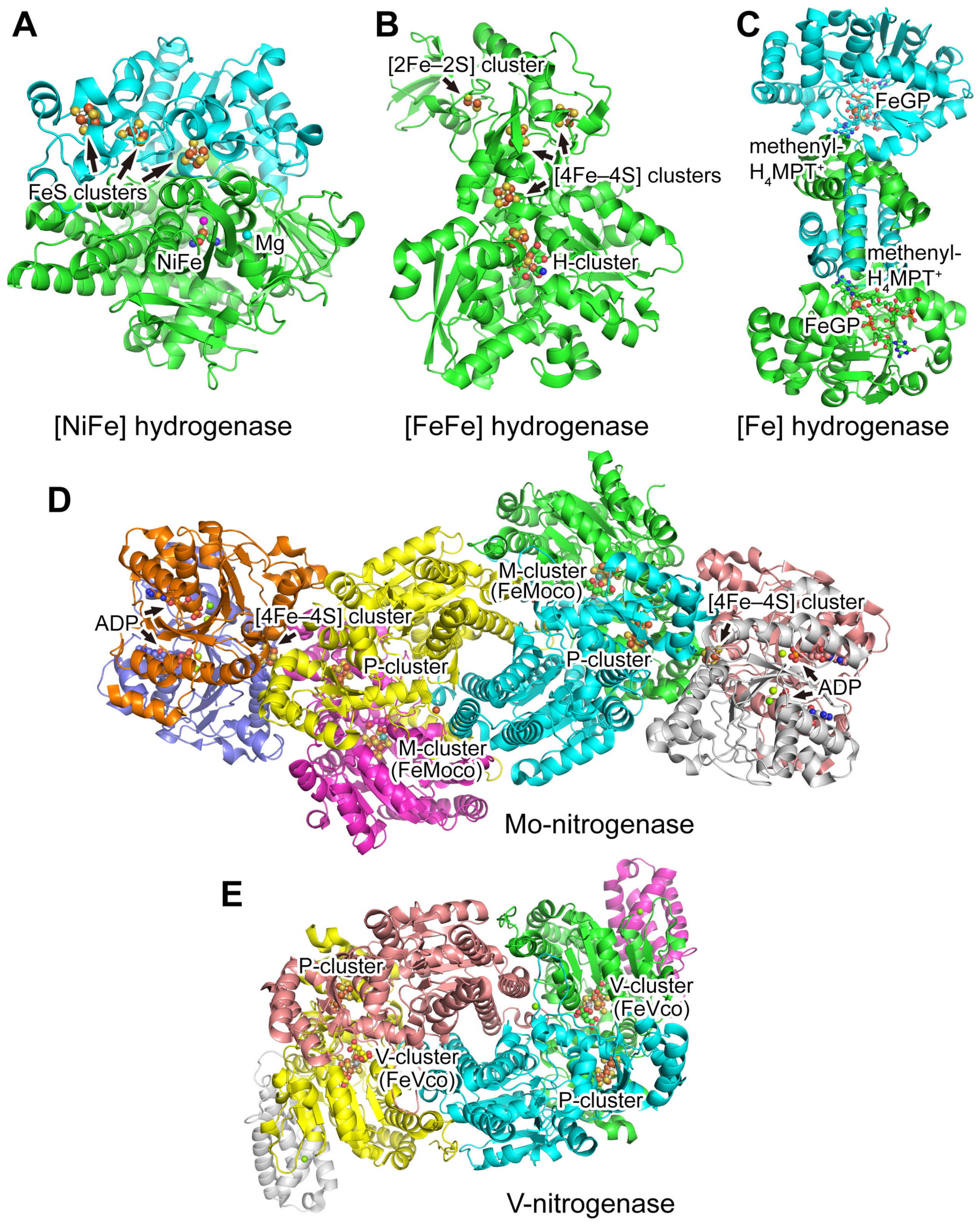 Molecules 28 01392 g001 Molecules 28 01392 g001