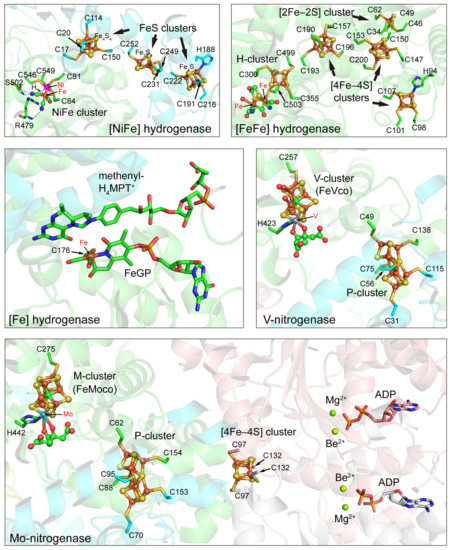 Molecules 28 01392 g002