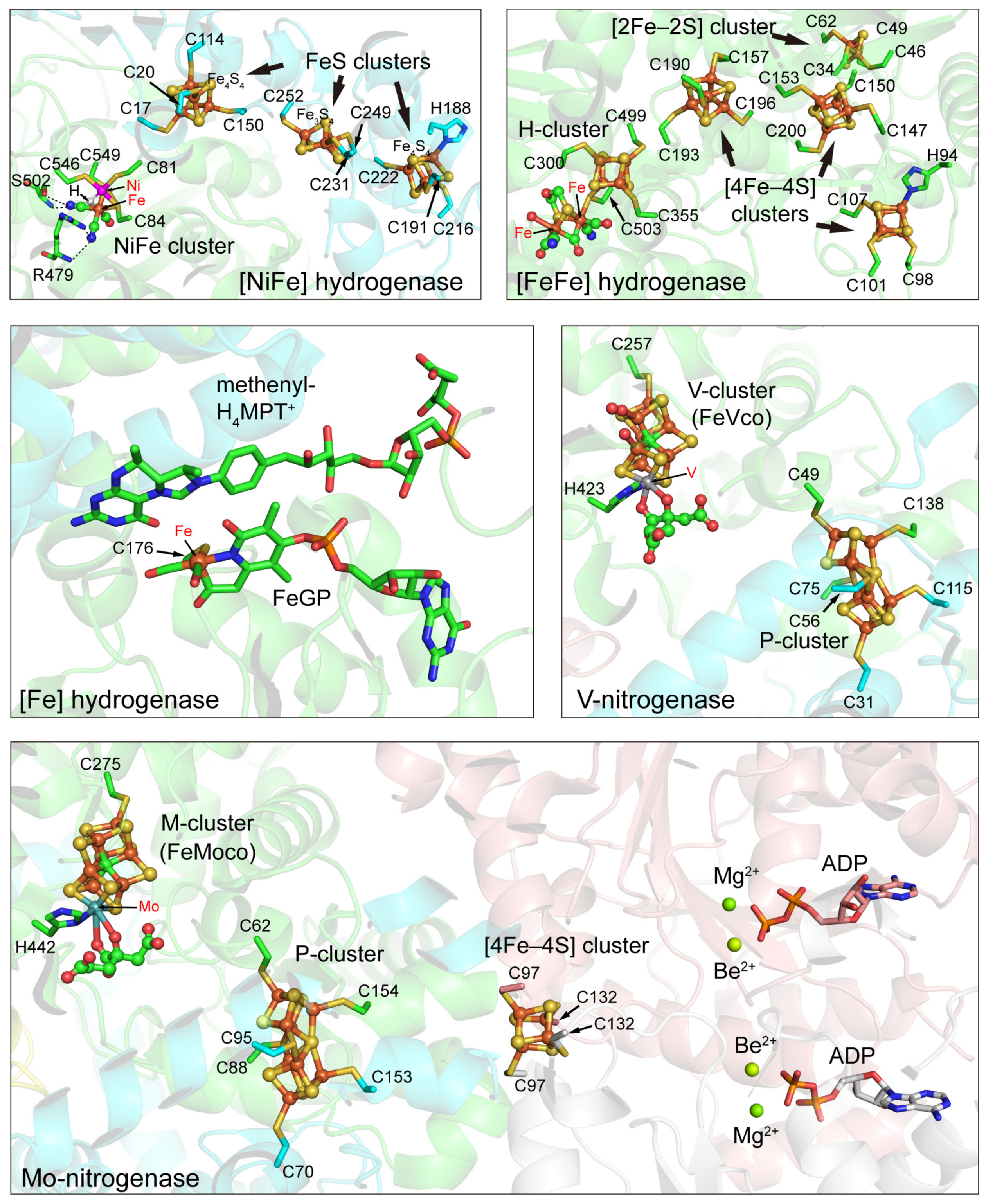 Molecules 28 01392 g002 Molecules 28 01392 g002