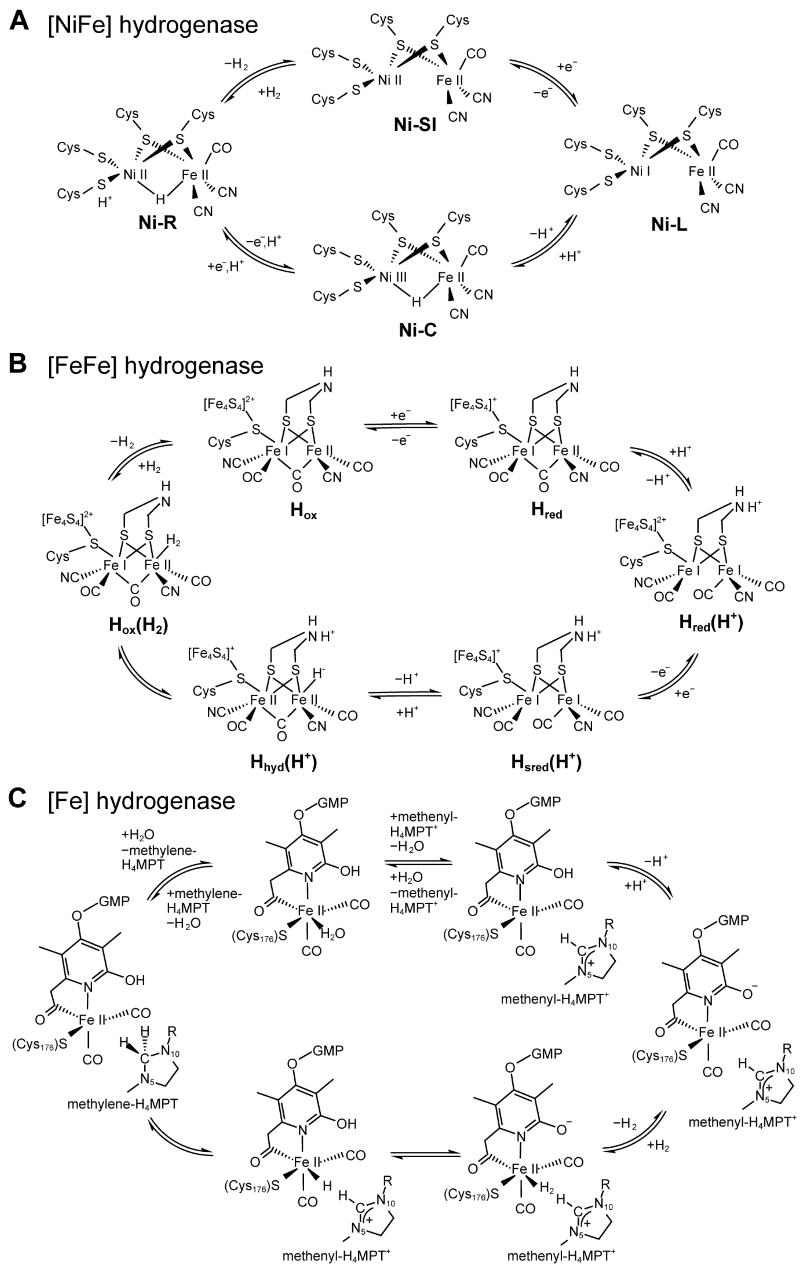 Molecules 28 01392 g003 Molecules 28 01392 g003