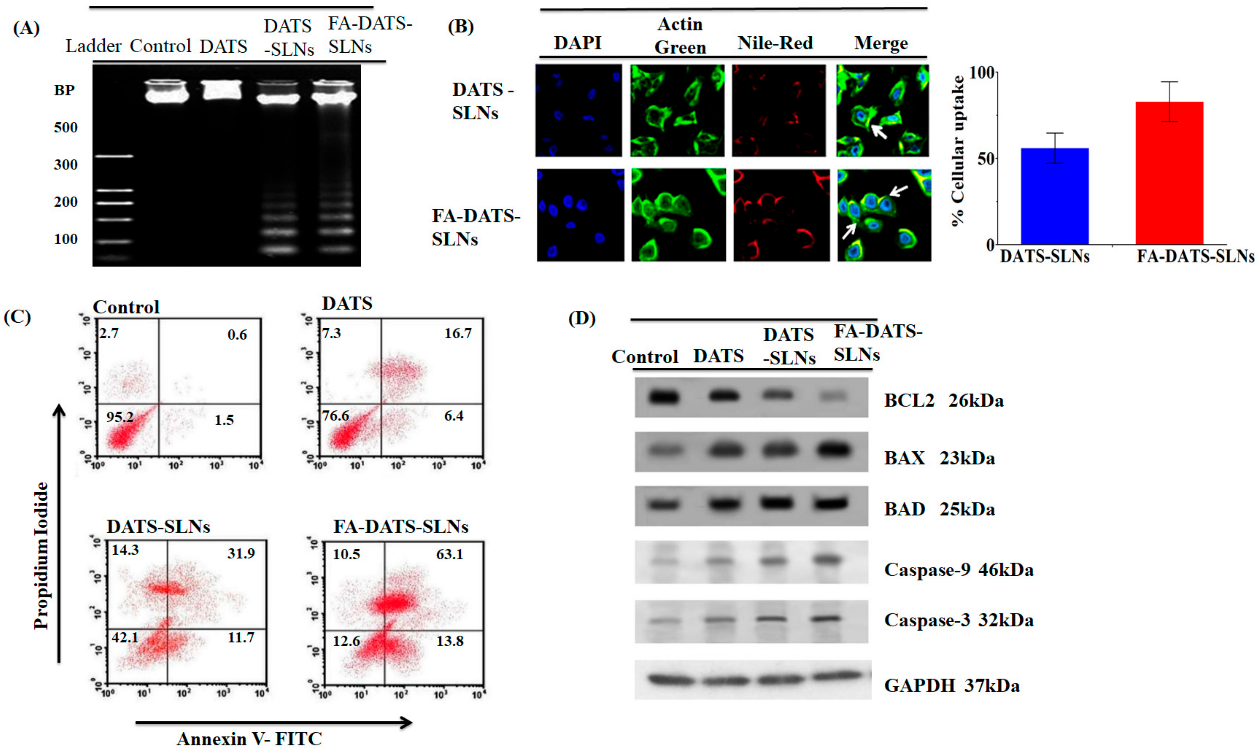 Molecules 28 01393 g005