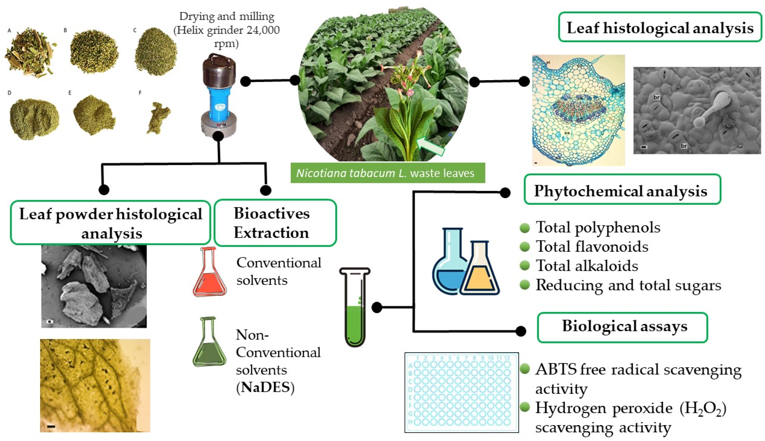Molecules 28 01396 g002