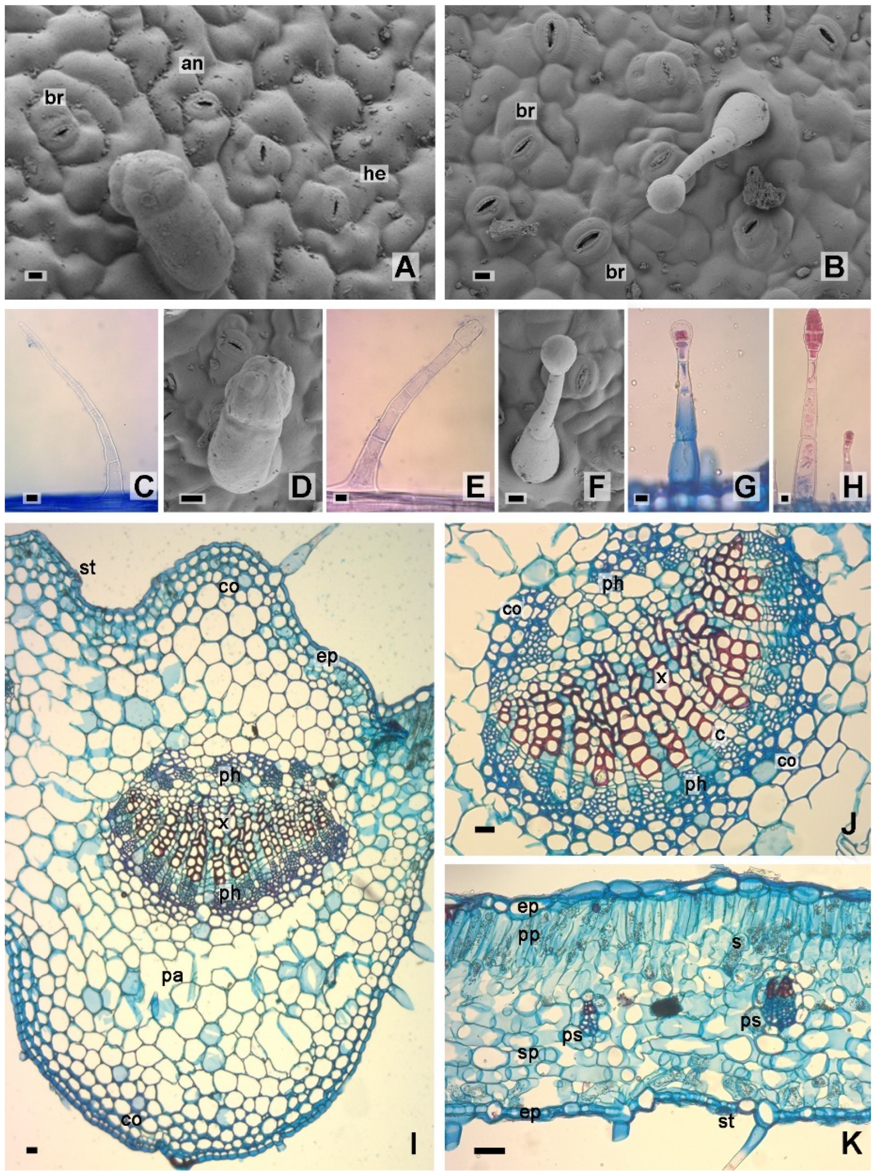 Molecules 28 01396 g003