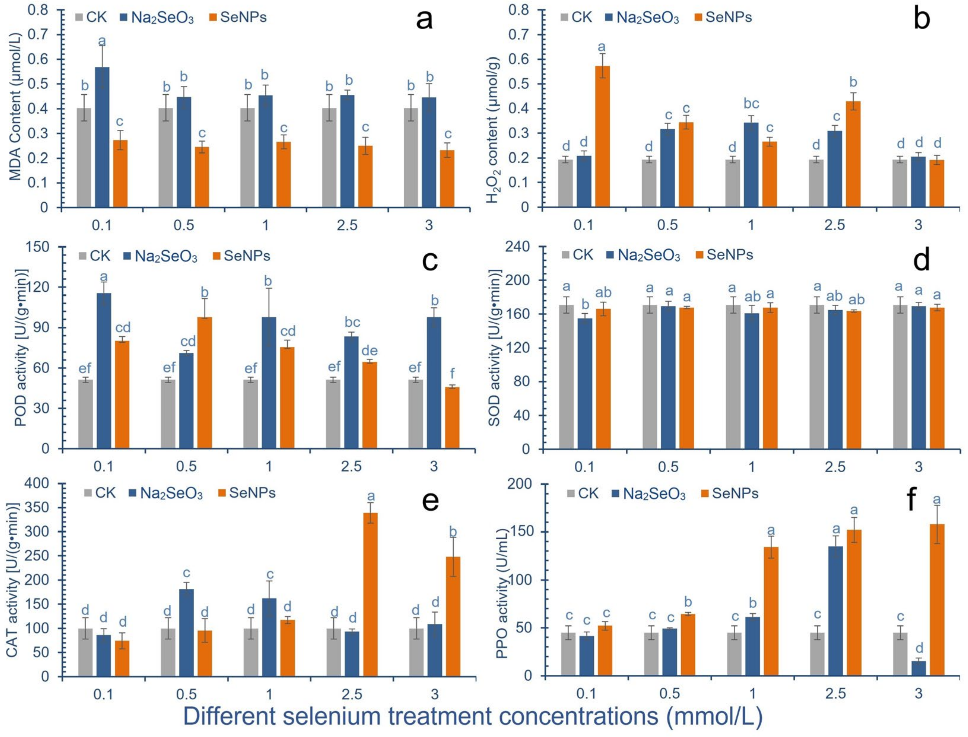 Molecules 28 01398 g002