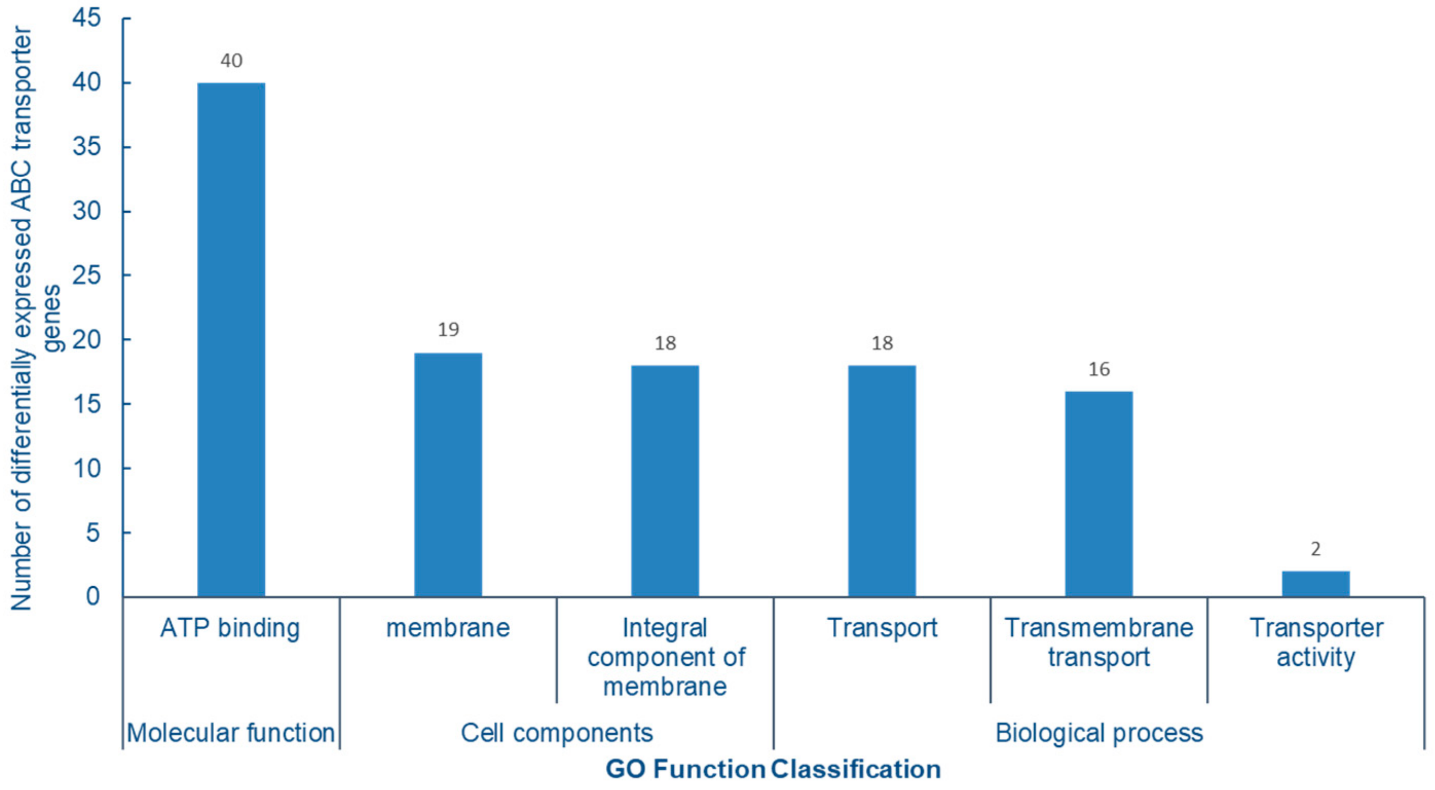 Molecules 28 01398 g010