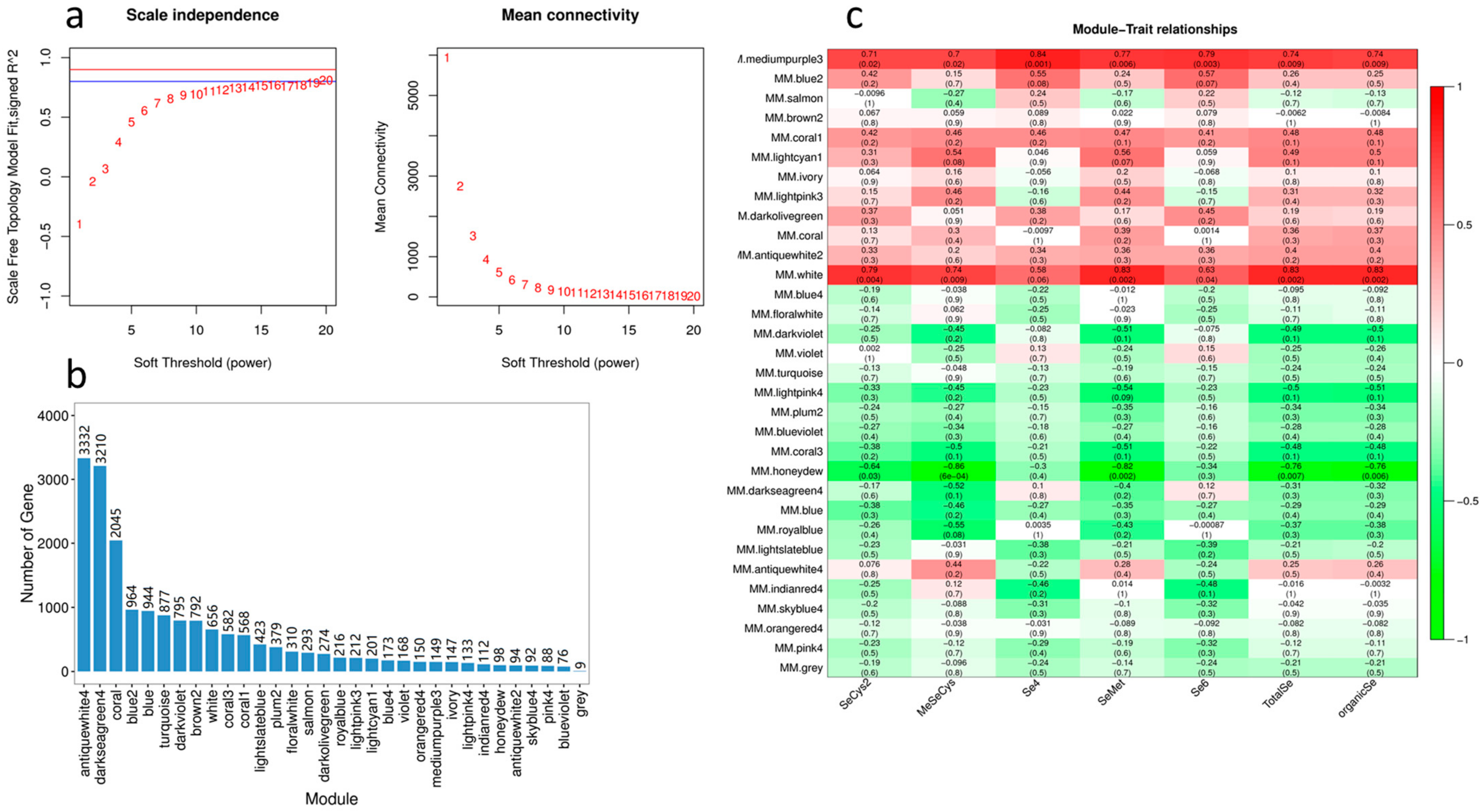 Molecules 28 01398 g011