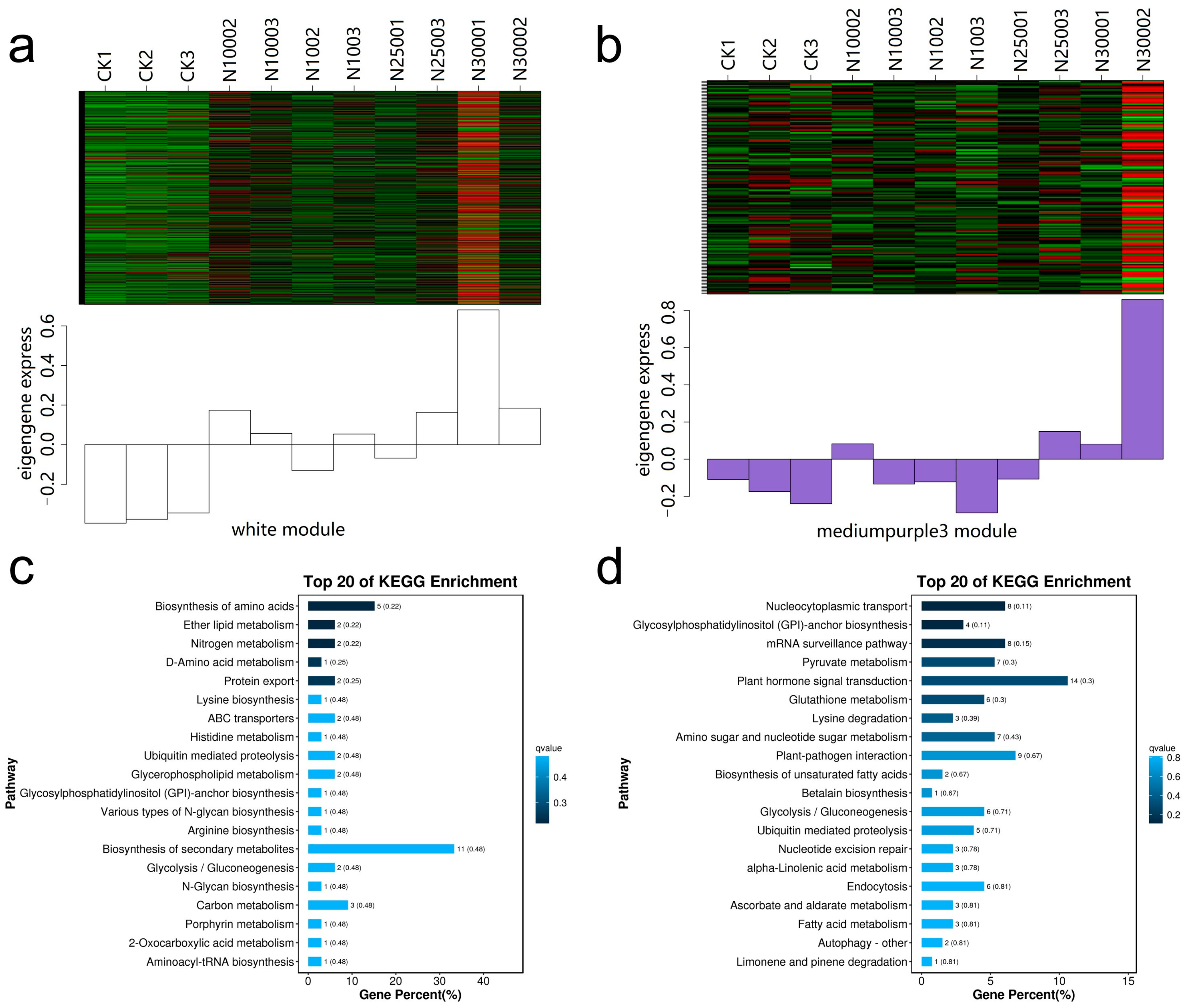 Molecules 28 01398 g012