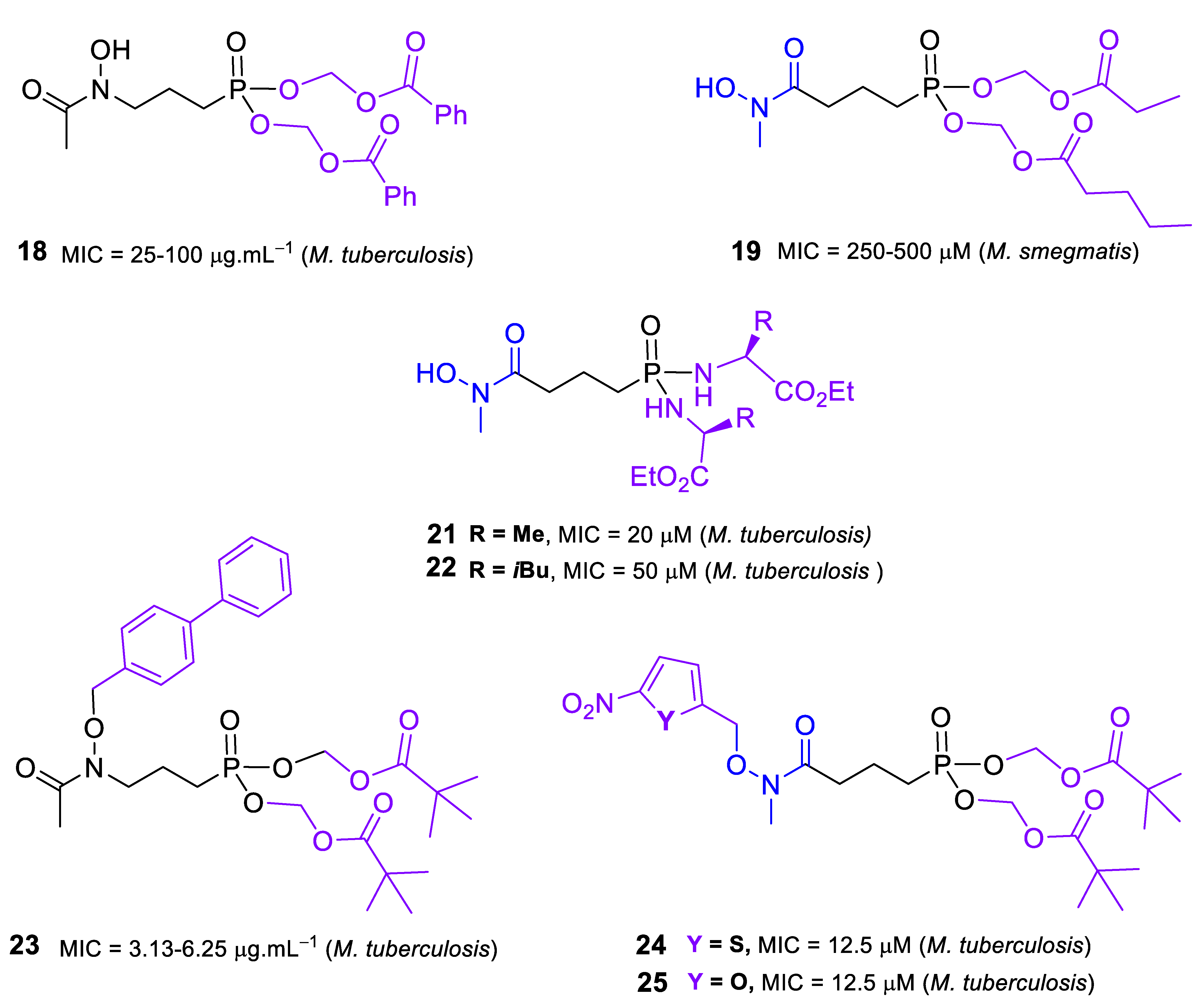 Molecules 28 01403 g003