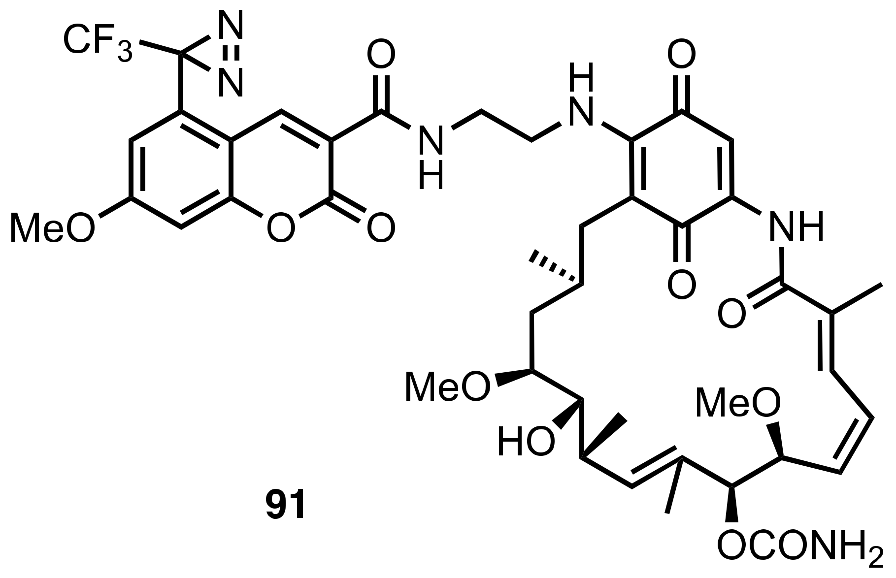 Molecules 28 01408 g001