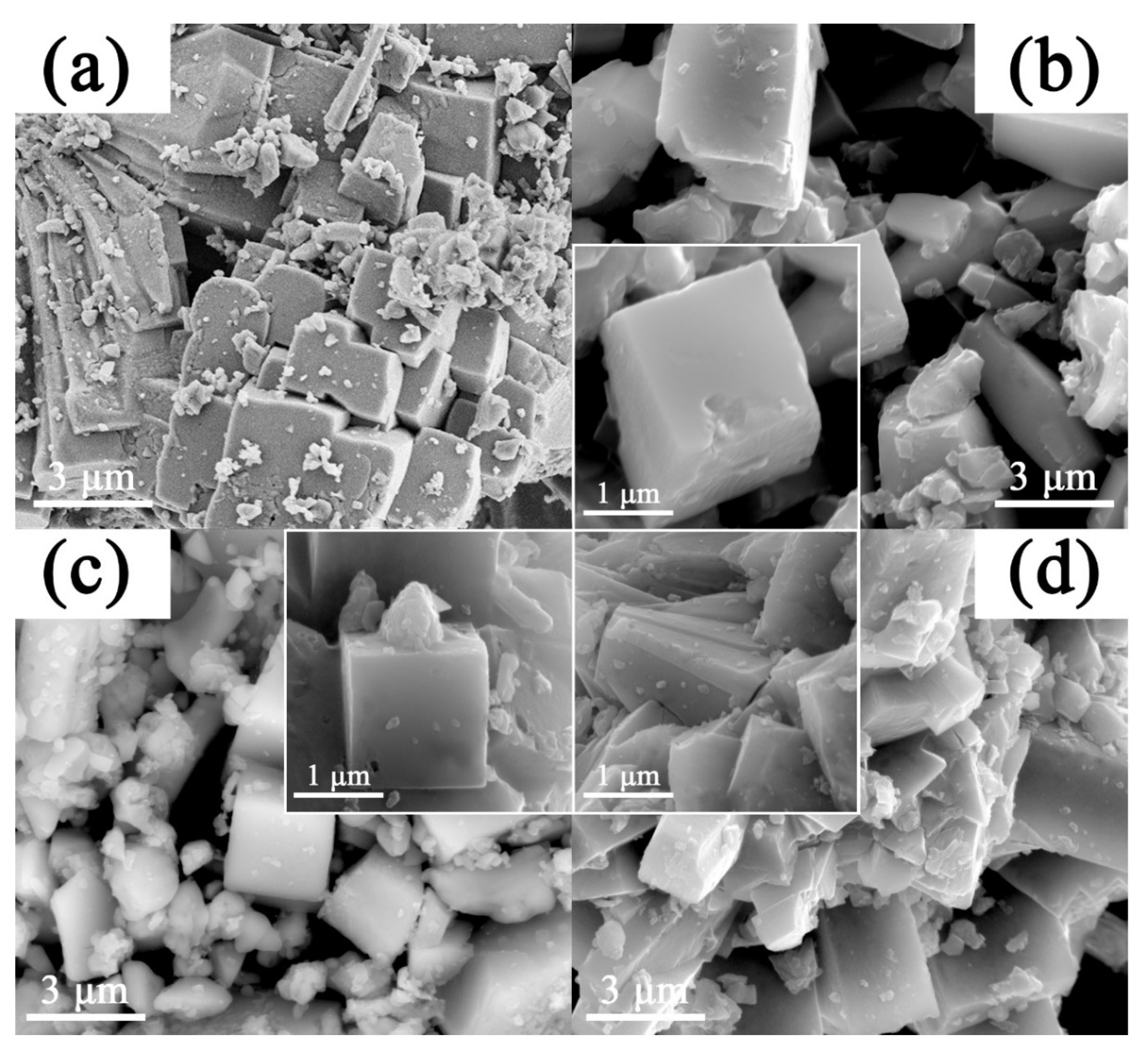 Molecules 28 01409 g002